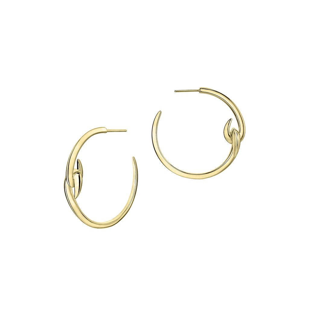 14K Yellow Gold Vermeil Hook Hoop Earrings for Women - Classic Dangle Earrings for Everyday Wear & Special Occasions