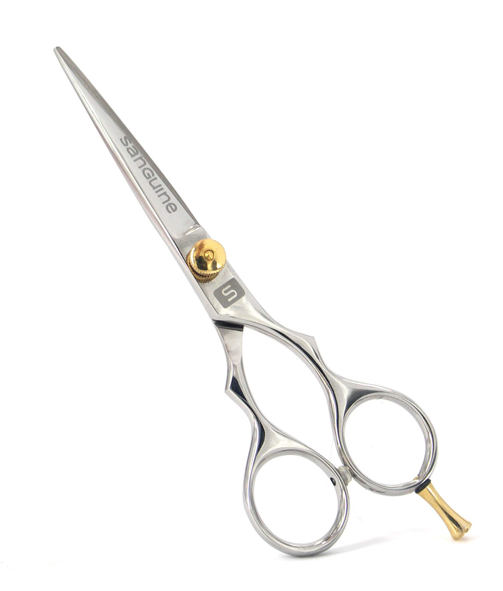 Professional Hair Cutting Scissors 6 Inch - Sharp Stainless Steel Barber Shears for Precision Haircuts, Styling & Trimming - Perfect for Salon, Home Use & Hairdressing Professionals