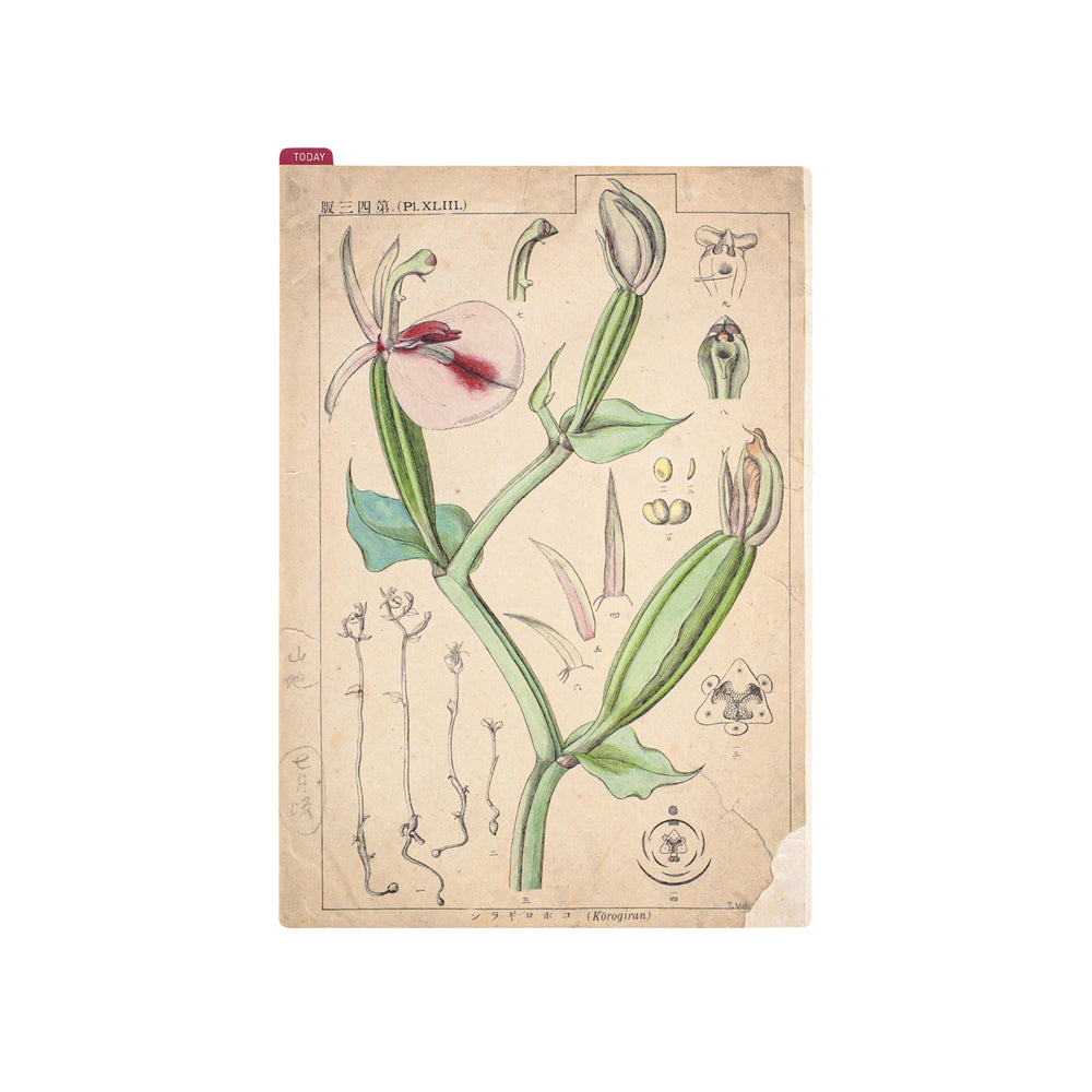 Hobonichi Planner Accessories - Set of 5 Premium Pencil Boards for Journaling, Note Taking & Planning | Perfect for Bullet Journals, Planners & Notebooks