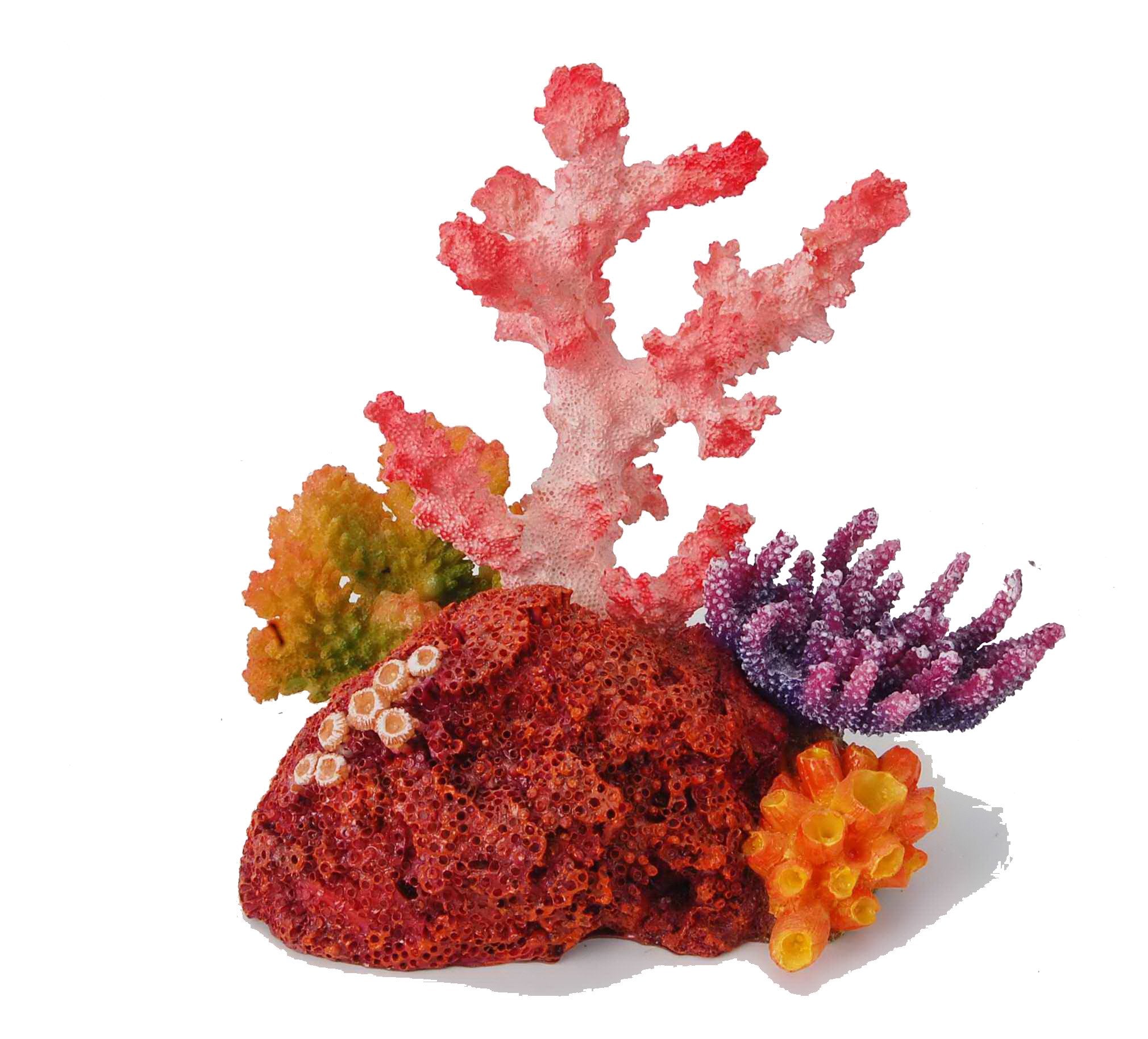 Aquatopia Pink Coral Reef Decor - Vibrant Artificial Coral for Saltwater Aquariums & Fish Tanks - Perfect for Marine Habitat, Home Decor, and Ocean-Themed Parties