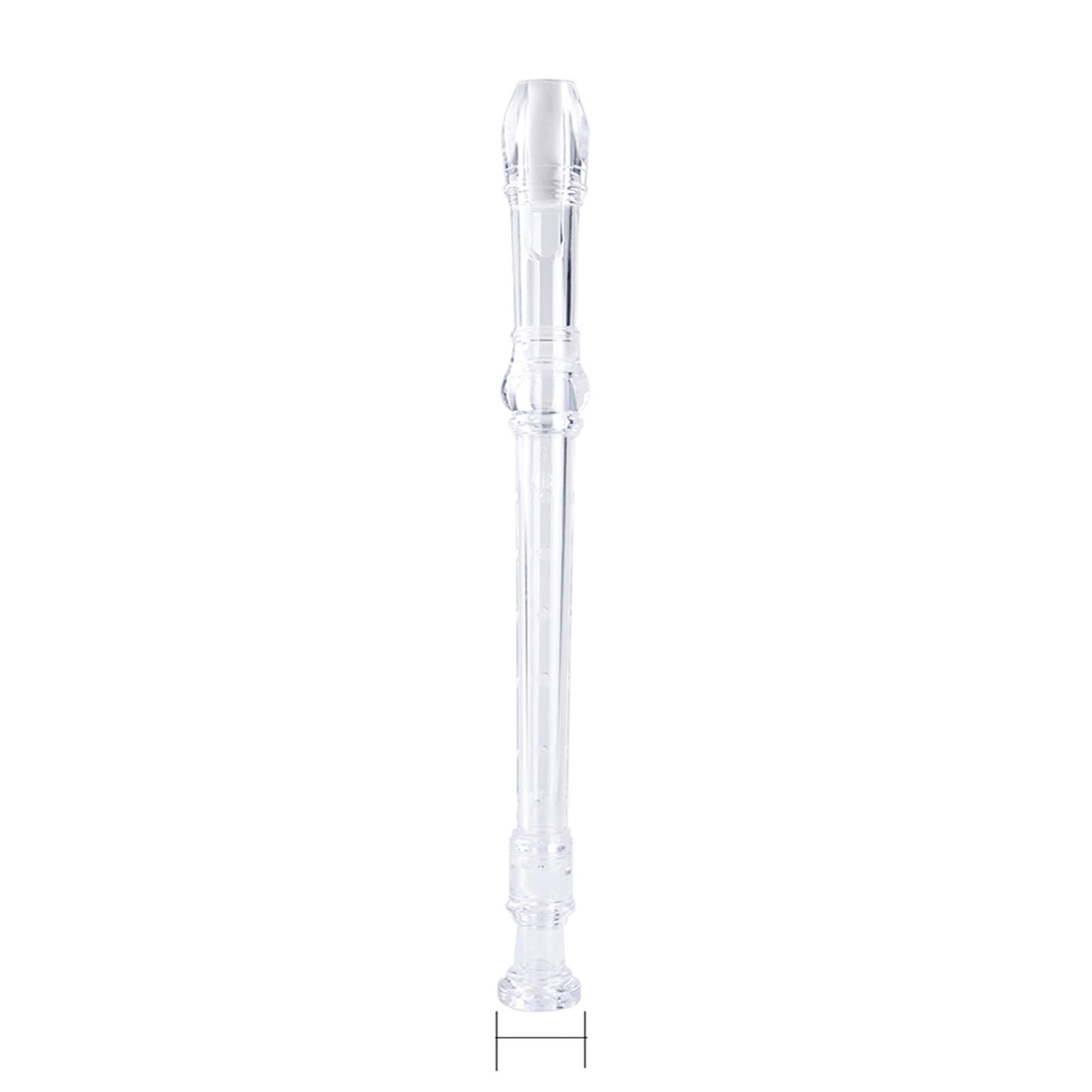 ABS Resin Recorder Flute for Beginners - 8 Hole Soprano Wind Instrument with G Tone, Clear (Ideal for Music Education, School Bands & Home Practice)
