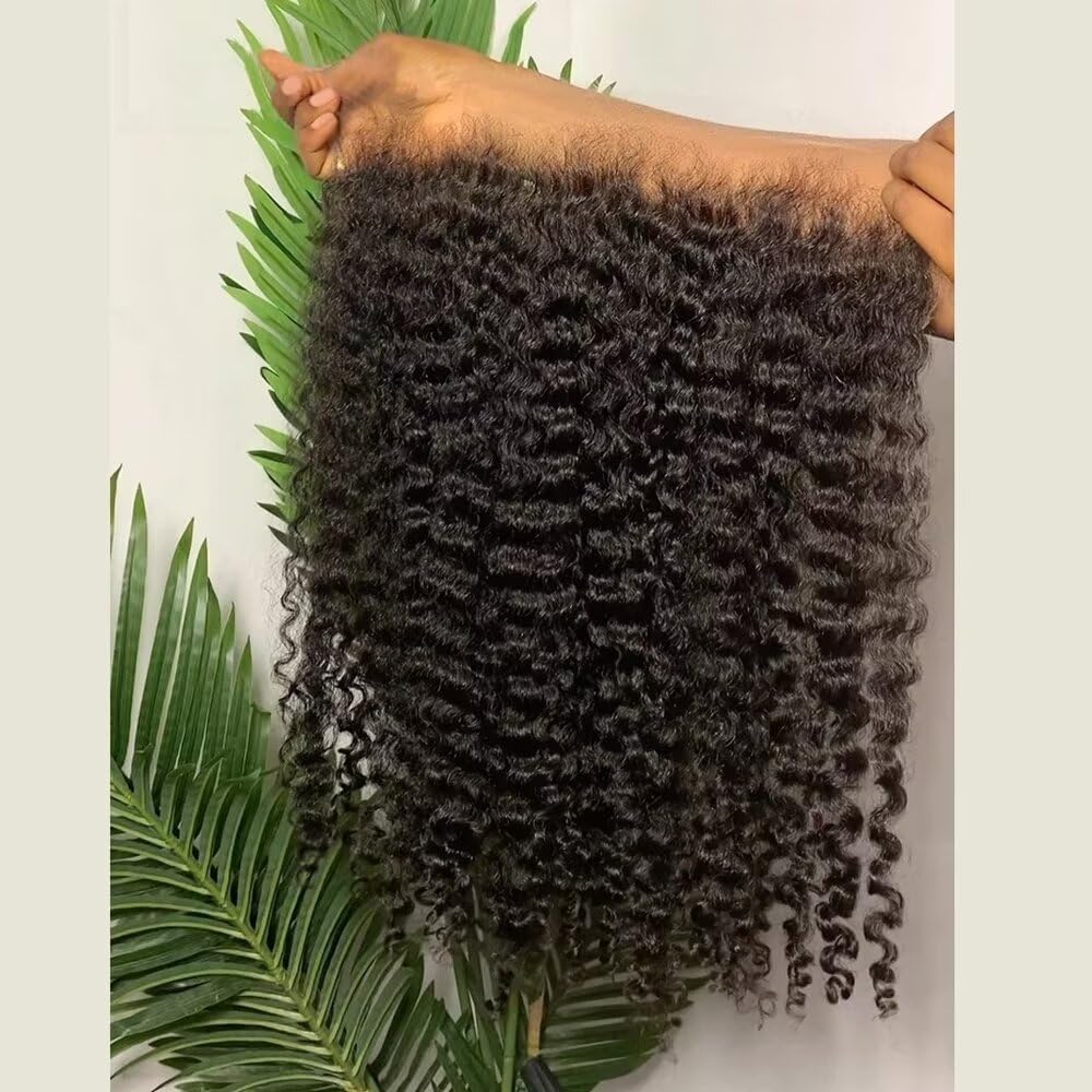 13x6 Swiss HD Lace Frontal Closure - Pre Plucked Natural Hairline Invisible Black Human Hair Wig | Skinlike Real HD Lace | Transparent Lace for Curly Wigs | Perfect for Daily Wear, Cosplay & Special Occasions