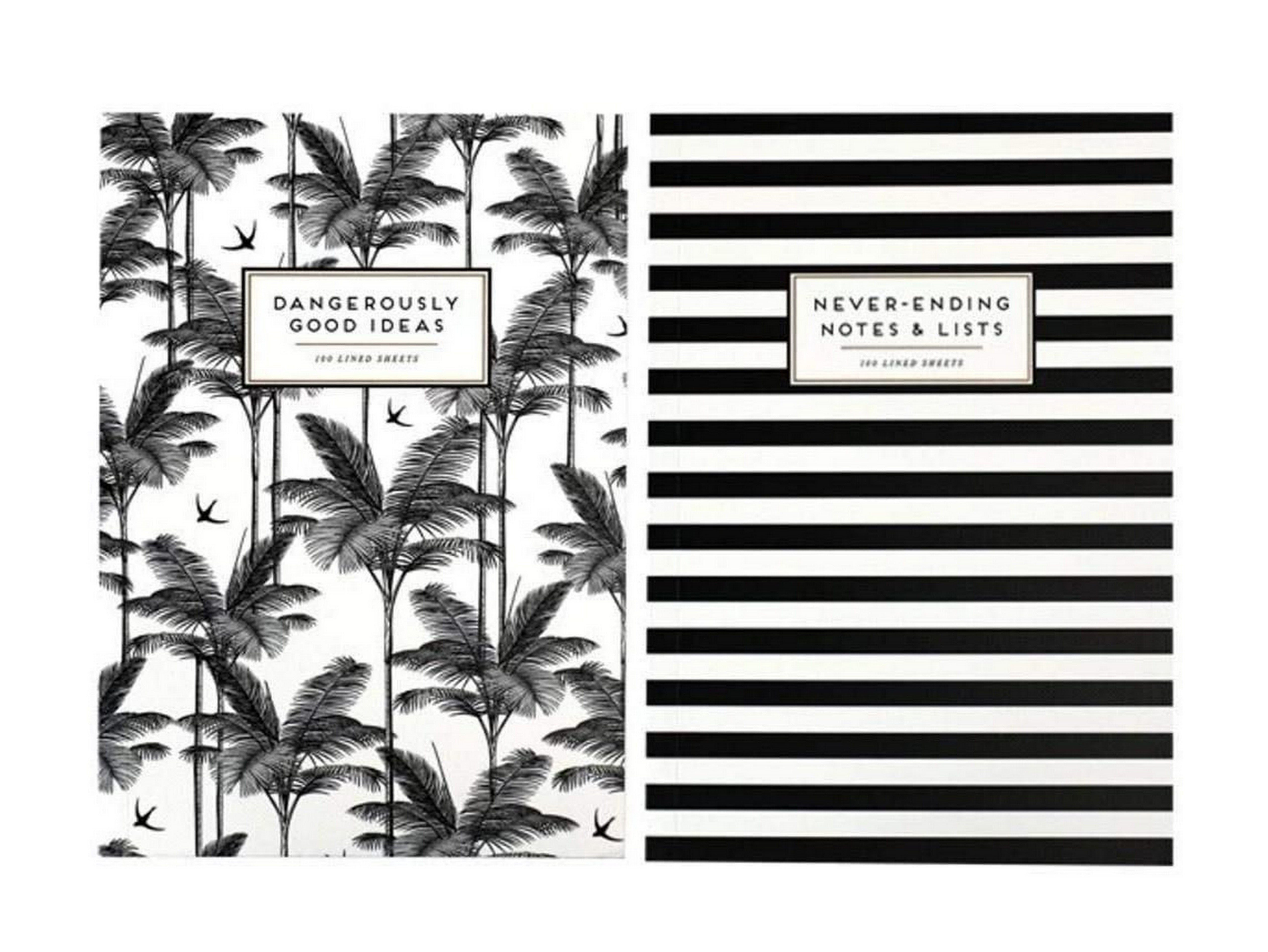 Alice Scott A5 Exercise Notebook Set of 2 - Premium Writing Journals for School, Office & Creative Ideas (ASGT003) | Perfect for Note Taking, Sketching & Brainstorming
