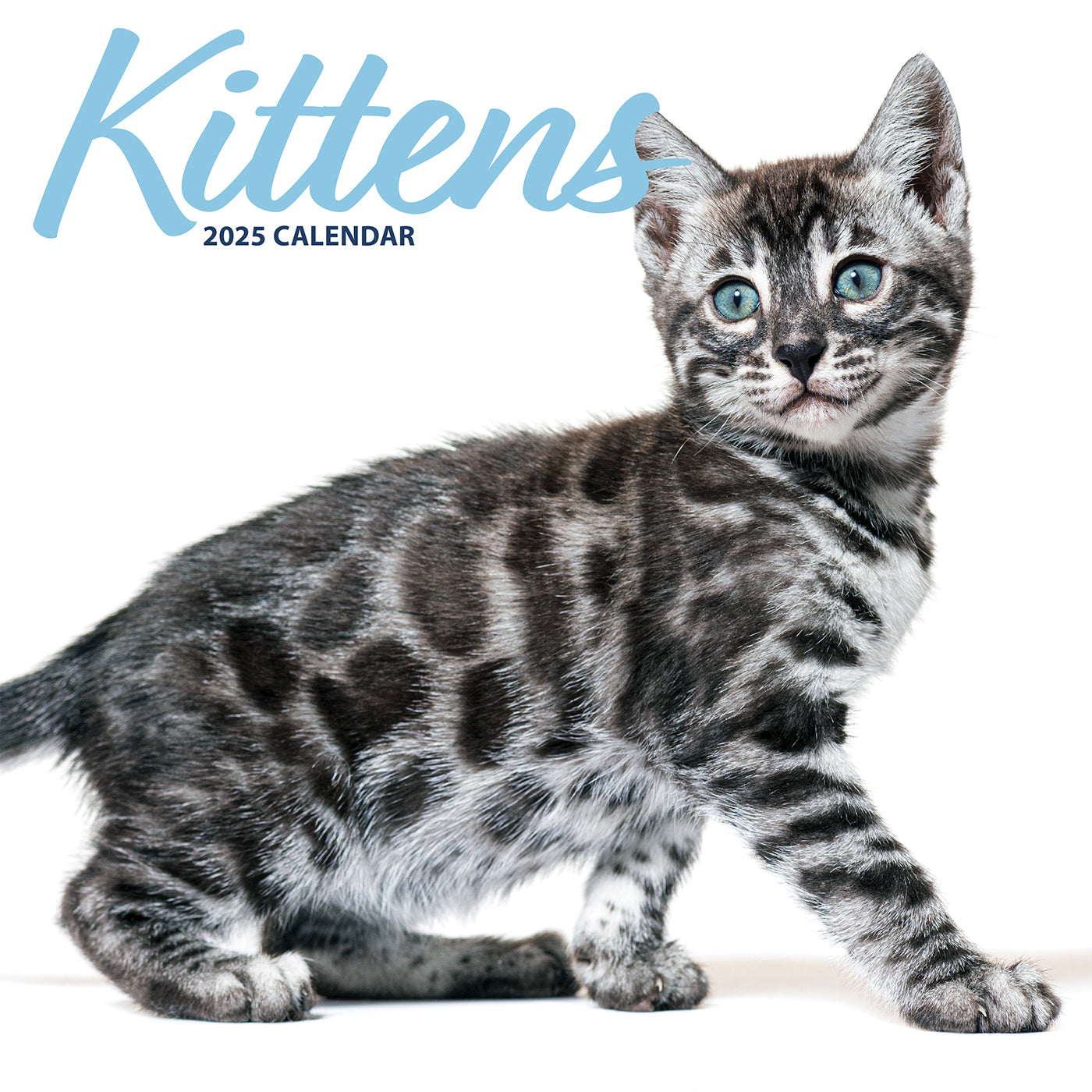 2025 Modern Kitten Calendar - Adorable Cat Themed Planner for Home & Office Decor | Perfect for Cat Lovers, Wall Hanging, Gift Ideas