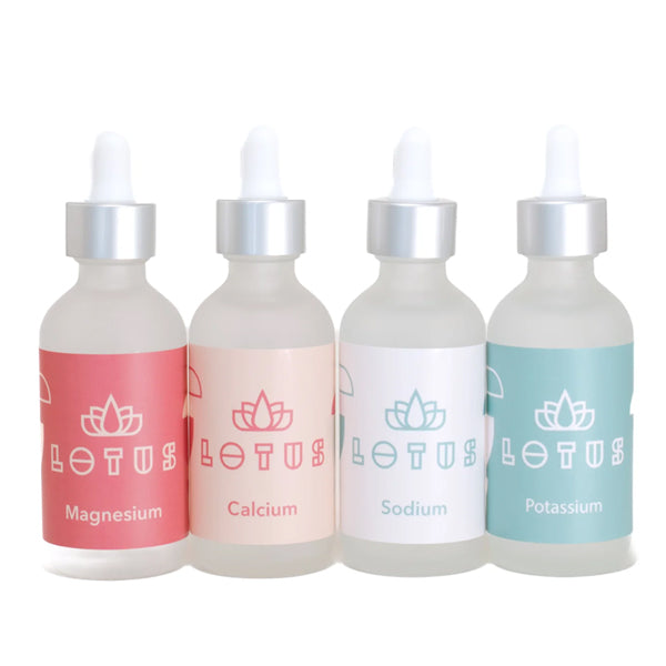 Premium Lotus Brew Water Kit for Tea & Coffee - Organic Herbal Infusion Set for Home, Office & Travel - Perfect for Loose Leaf Tea, Cold Brew & Herbal Blends