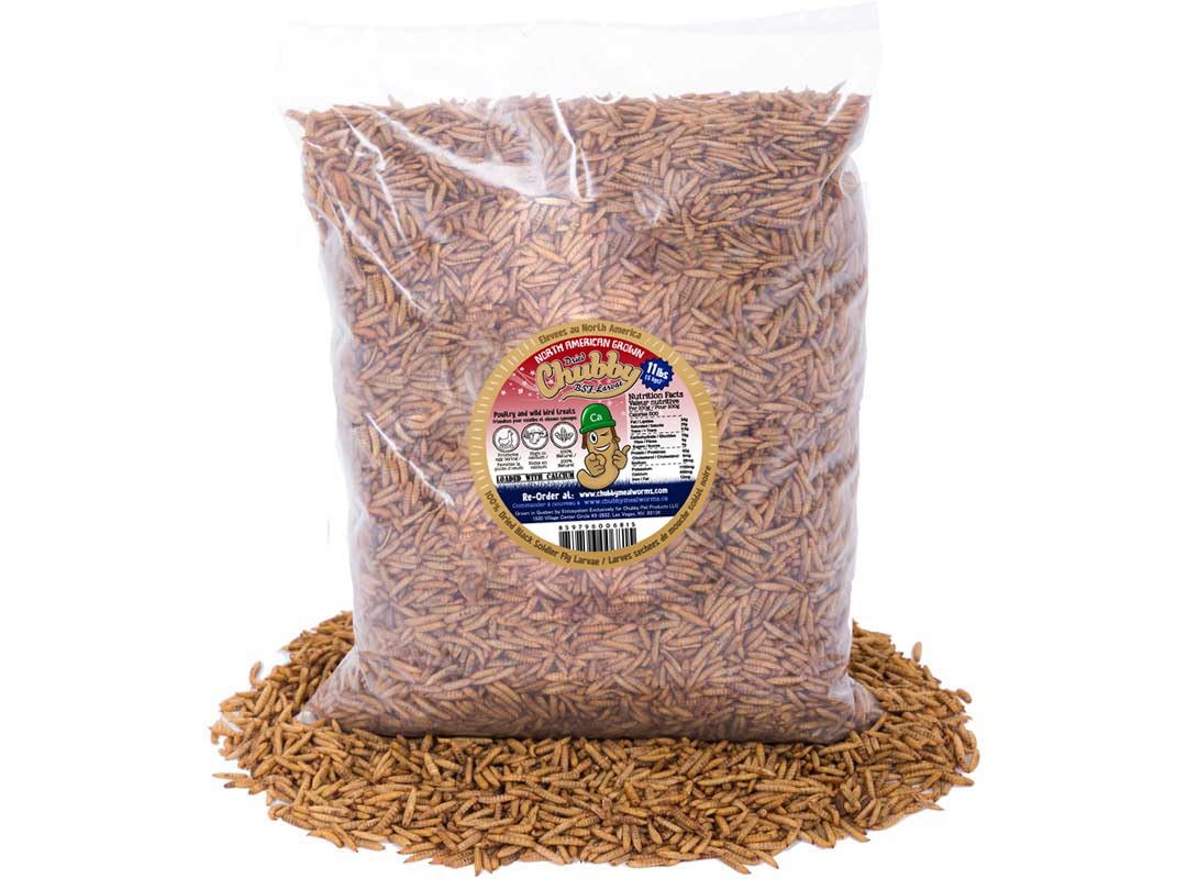 11Lbs Organic Dried Black Soldier Fly Larvae - High Protein & Calcium Snack for Chickens, Wild Birds & Reptiles | North American Grown | Perfect for Laying Hens, Backyard Poultry & Pet Nutrition