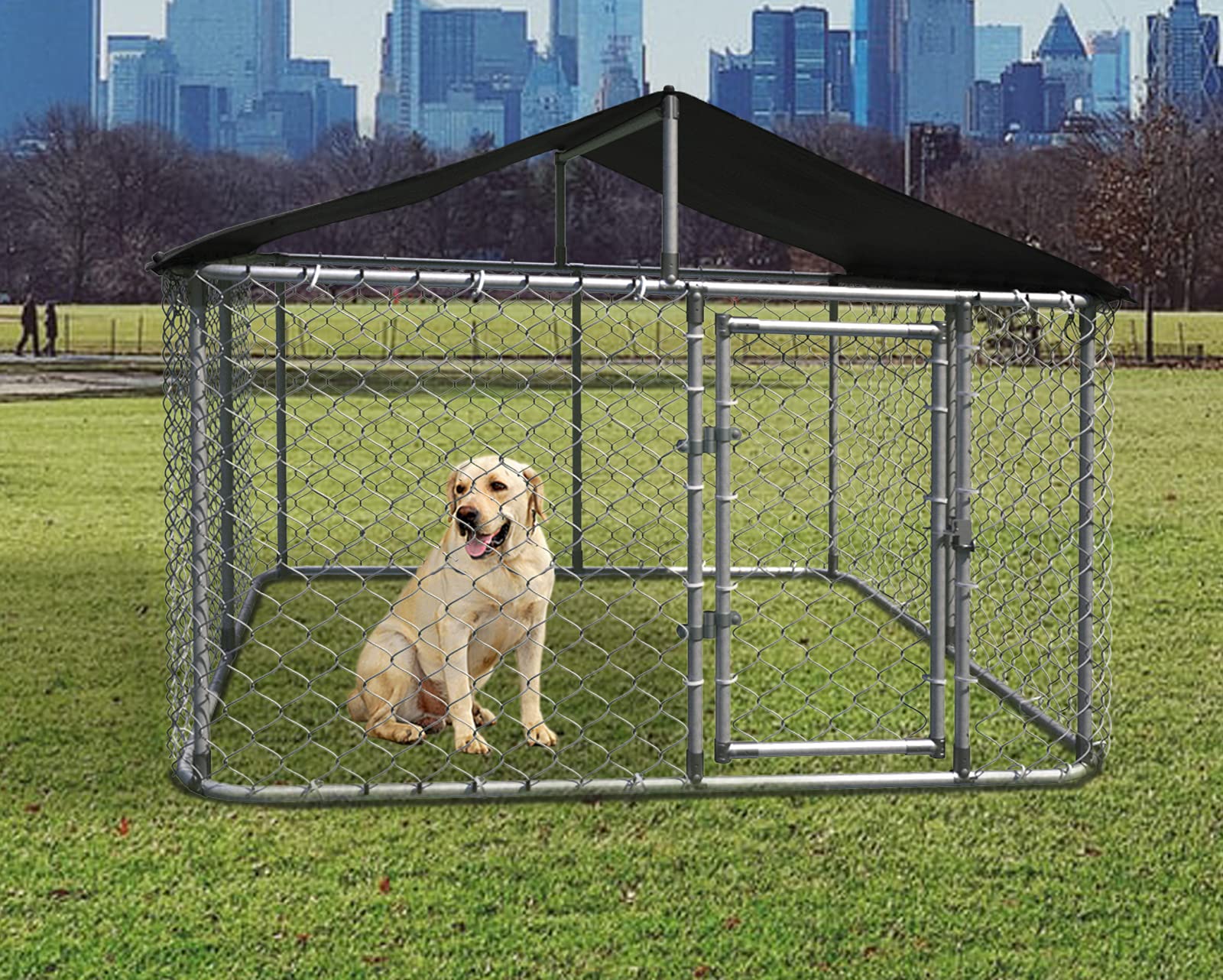 ASJMR Extra Large 118