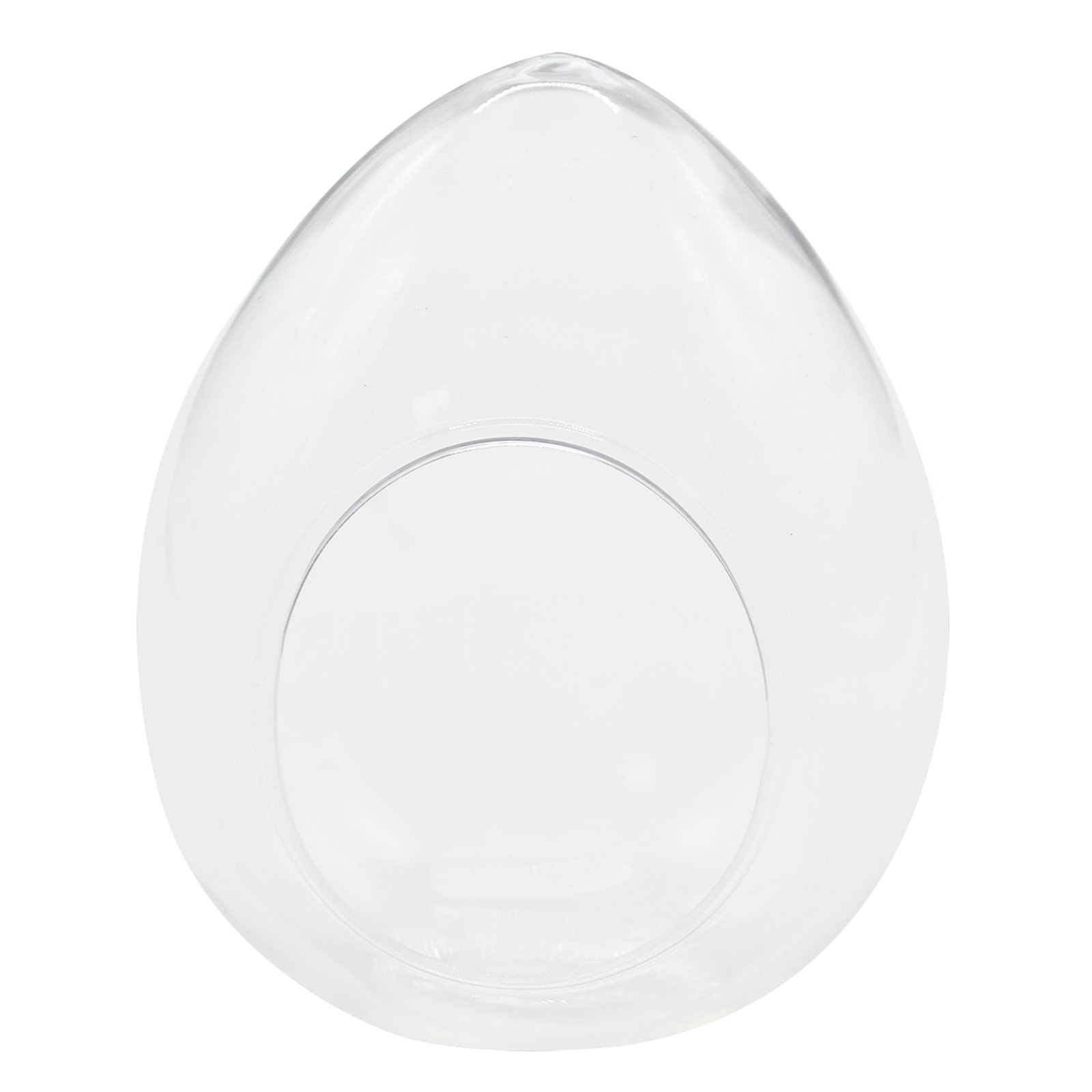 Elegant Oval Glass Terrarium Planter - Decorative Bowl for Succulents, Air Plants & Home Decor | Perfect for Centerpieces, Wedding Favors & Indoor Gardens