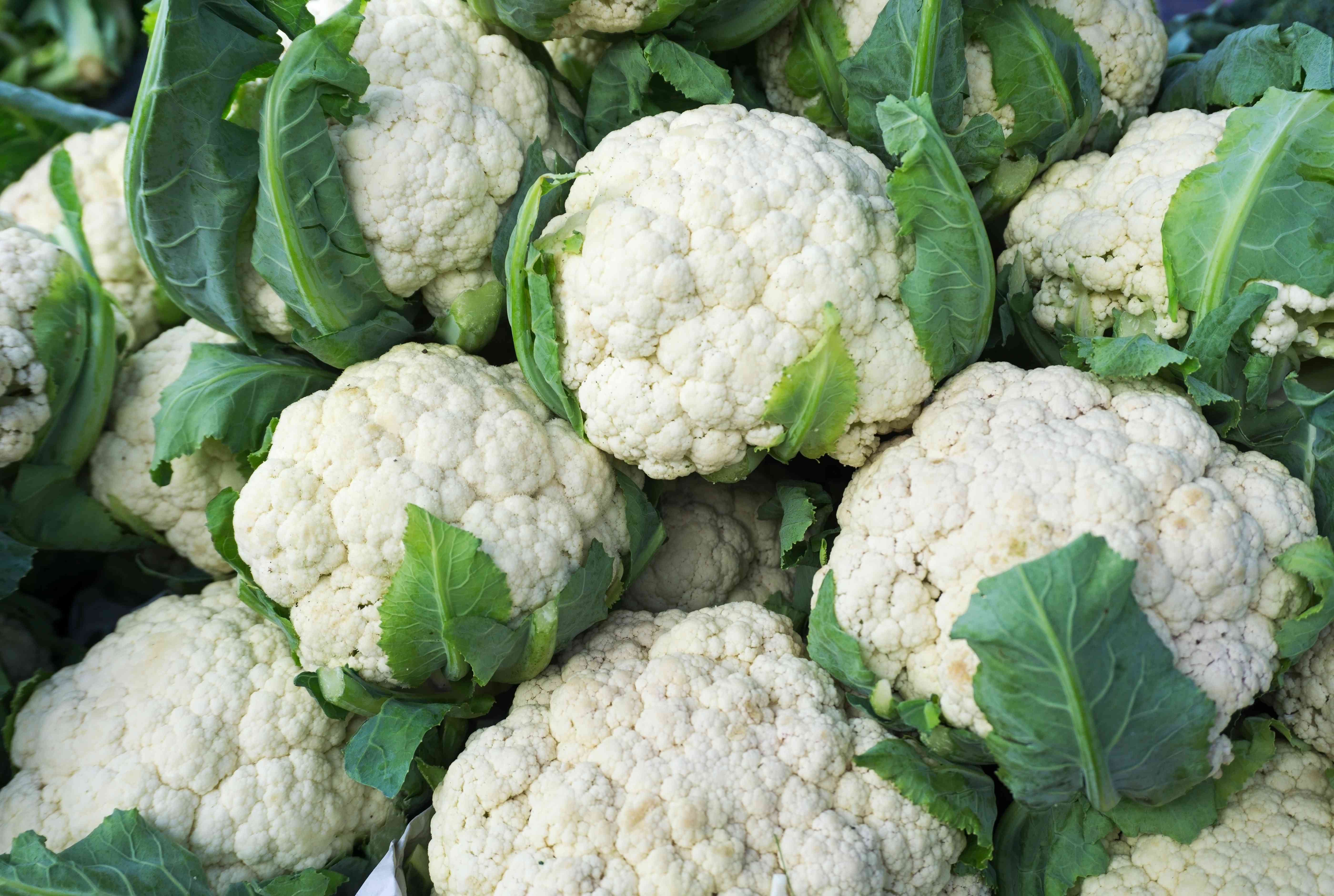 Organic Cauliflower Seeds for Planting - Non-GMO, Heirloom Variety - $3.50 - Perfect for Home Gardens, Urban Farming & Sustainable Agriculture