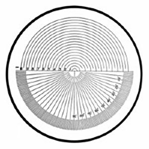 Reticle #9 (10x Comparator) - Precision Measurement Tool for Microscopes & Optical Instruments | Ideal for Lab Research, Quality Control & Engineering Inspections