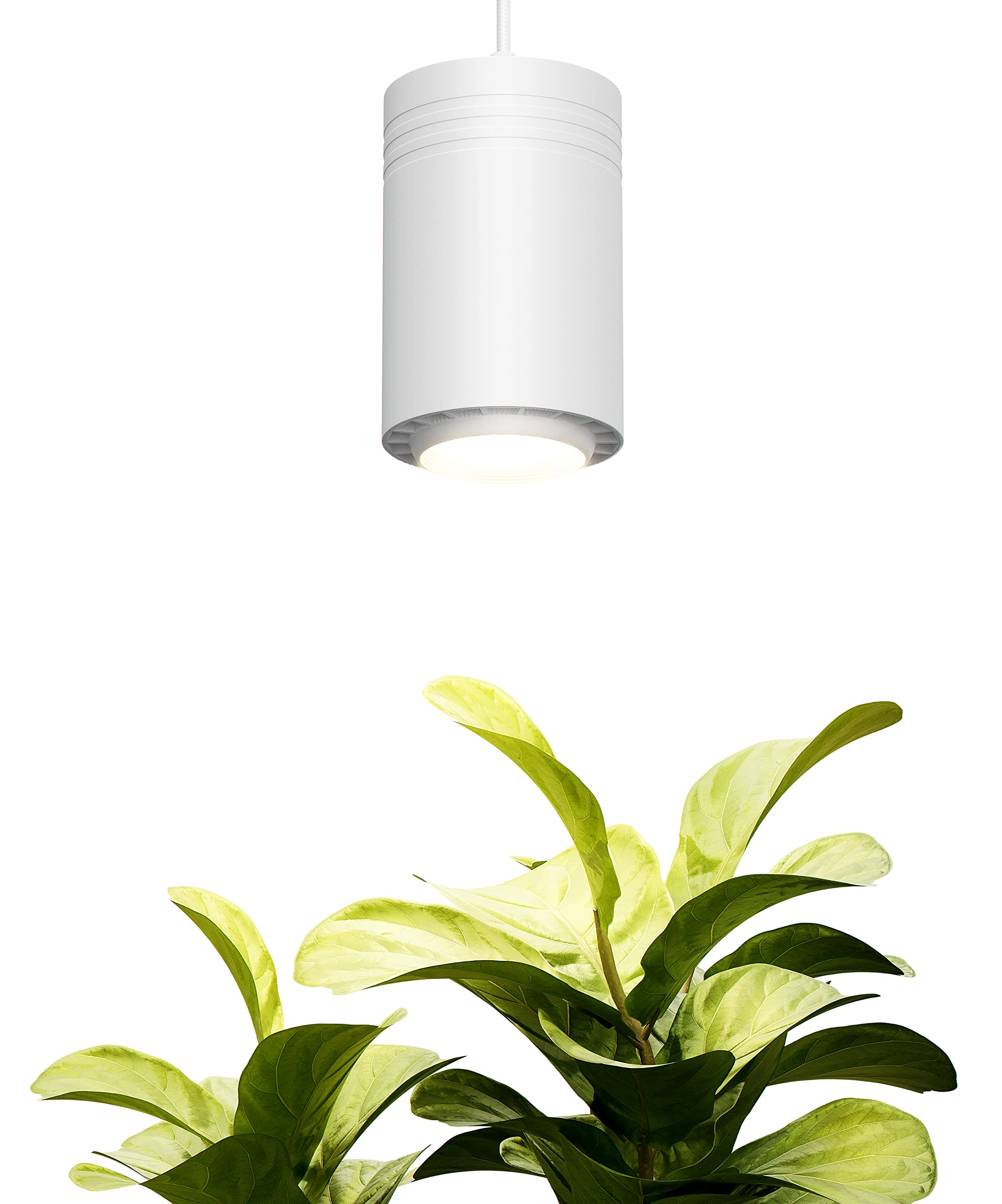 Aspect World's First Decor Grow Light - Large White Luxury LED Plant Light for Medium & Large Indoor Plants | Perfect for Home, Office & Greenhouse Use
