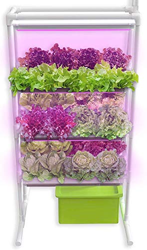 **Hydroponic Herb Garden Starter Kit - Indoor Growing System with Nutrients & Non-GMO Heirloom Seeds - All-in-One Vertical Garden for Basil, Mint, Parsley - Perfect for Kitchen, Apartment, Urban Gardening**