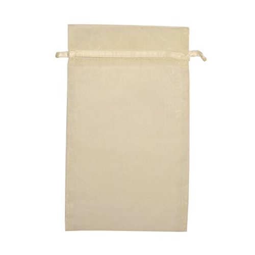 JAM PAPER Sheer Gift Bags Large 5.5