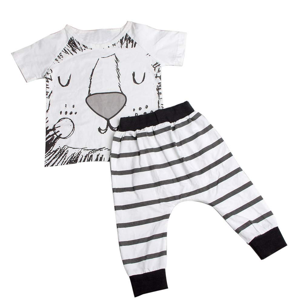 Newborn Baby Boy & Girl Outfit Set - Soft Hoodie with Pocket & Solid Pants 2-Piece Clothing | Perfect for Photoshoots, Playdates & Everyday Wear