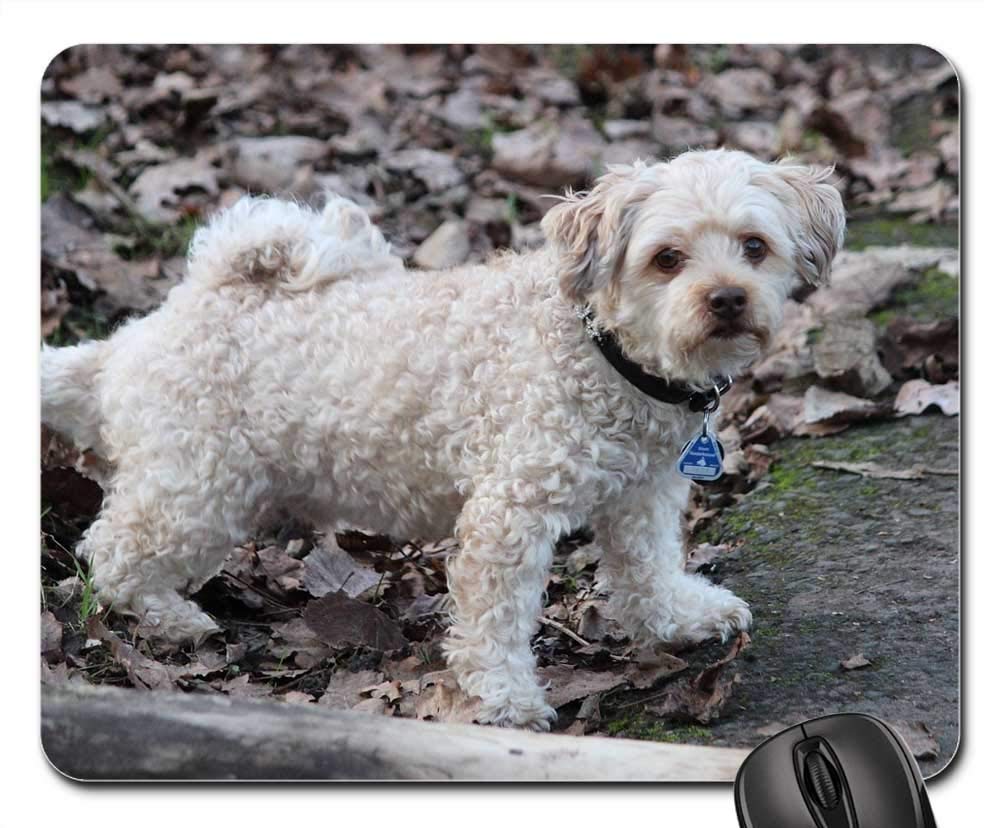 Premium Gaming Mouse Pad - Soft Non-Slip Surface with Adorable Dog Design for PC & Laptop - Perfect for Office, Gaming & Home Use