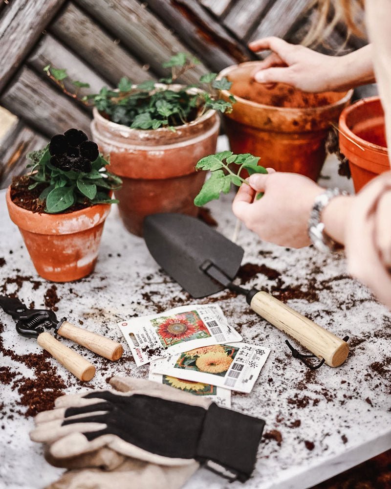 Premium Stainless Steel Hand Spade for Gardening - Ideal for Planting, Digging, and Transplanting in Your Backyard or Garden