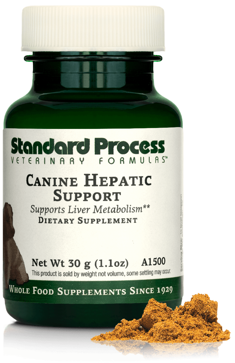 Canine Hepatic Support Supplement for Dogs - 1.1 oz (30 g) - Liver Health Support for Pets with Poor Appetite & Digestion Issues - Ideal for Senior Dogs & Recovery Periods