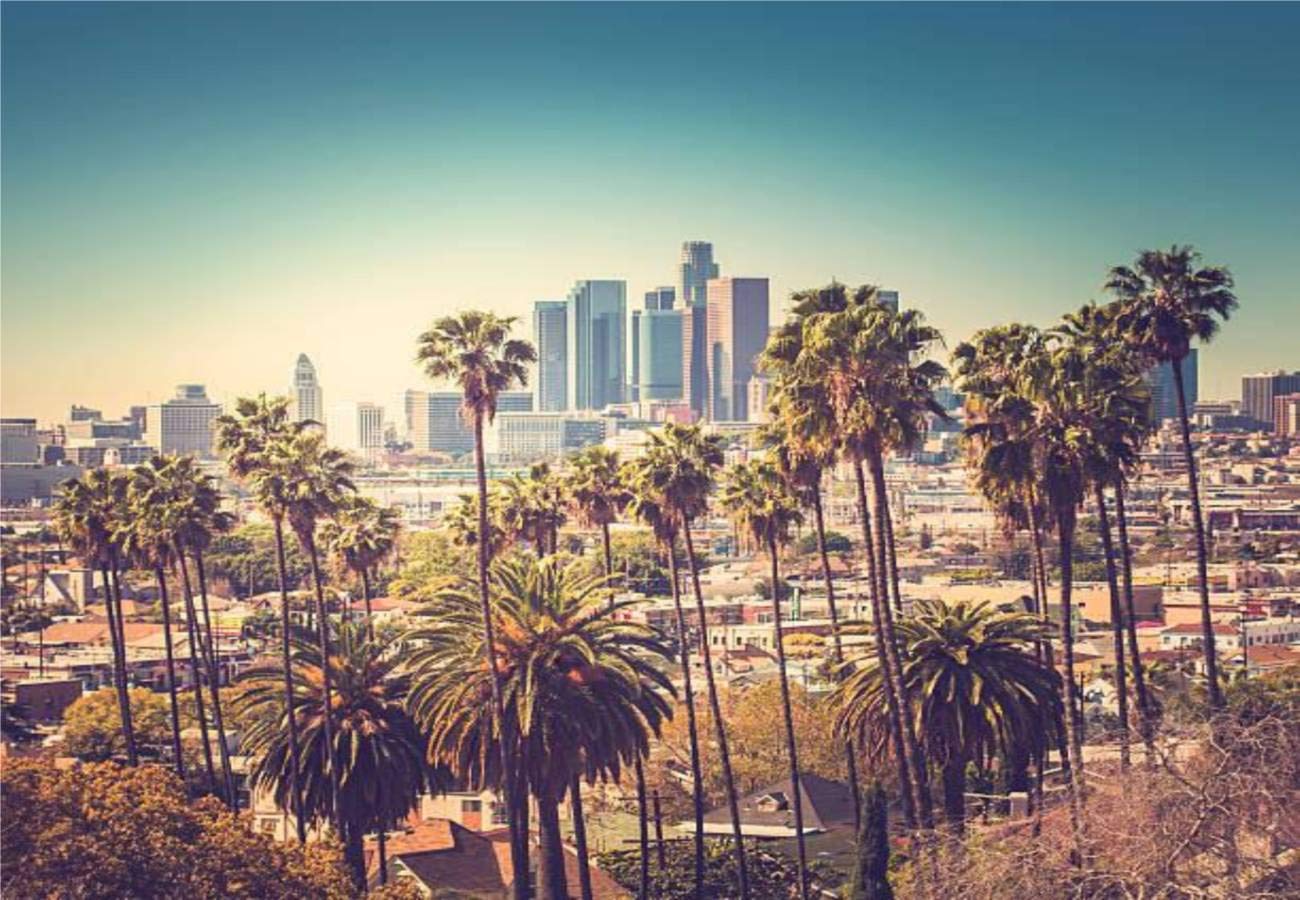 1000 Piece Jigsaw Puzzle - Downtown Los Angeles Skyline with Palm Trees | Educational Puzzle for Kids & Adults | Large 20x30 Inch DIY Challenge | Perfect Gift for Puzzle Lovers | Great for Family Game Night & Indoor Activities