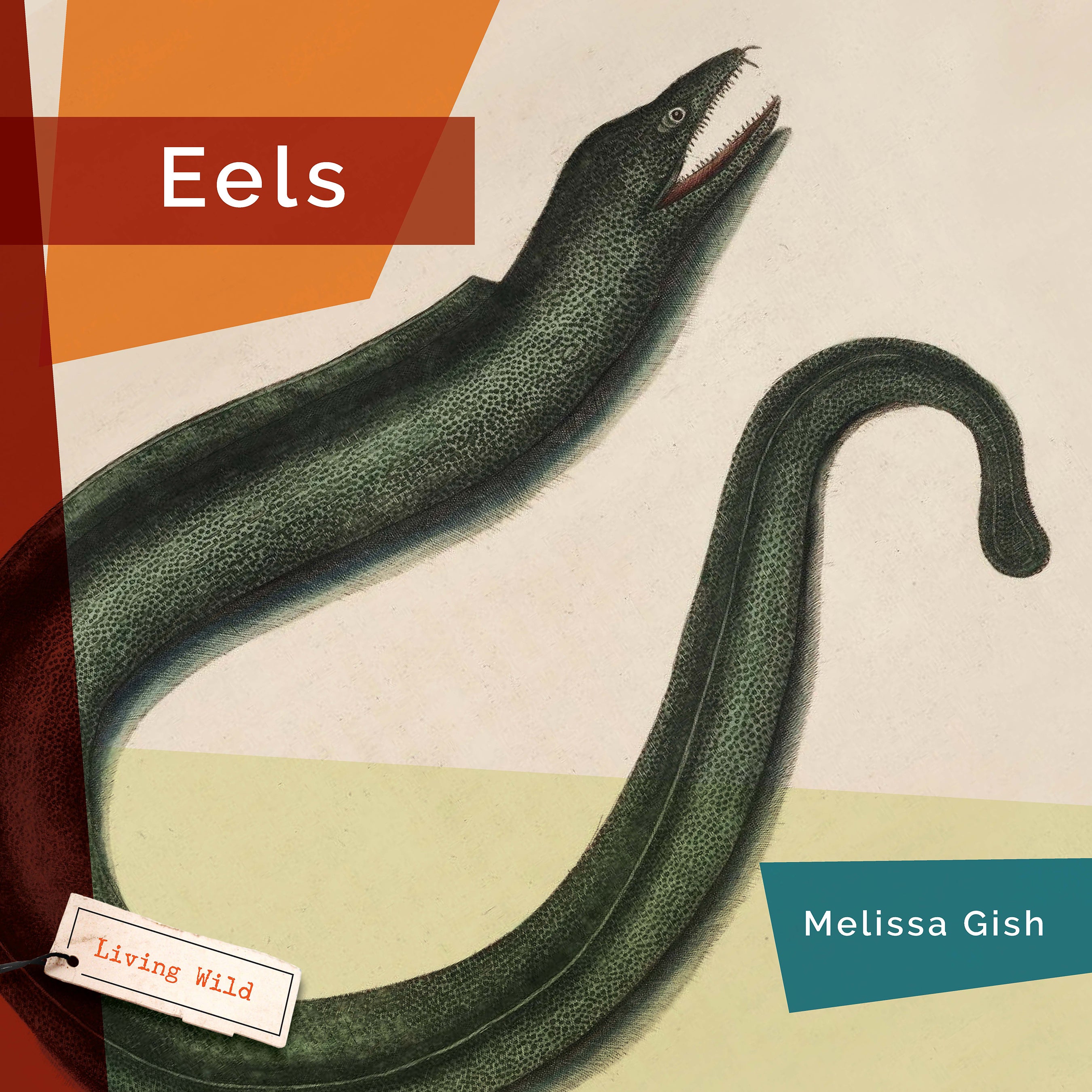 Freshwater Eels Book - 9781640267787 - Learn About Eel Species, Habitats & Conservation | Perfect for Marine Biology Students & Nature Enthusiasts