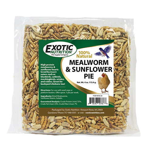 Nutritious Mealworm & Sunflower Seed Pie - High Protein Snack for Hiking, Camping & Survival Food | Organic & Gluten-Free Insect Protein Bar