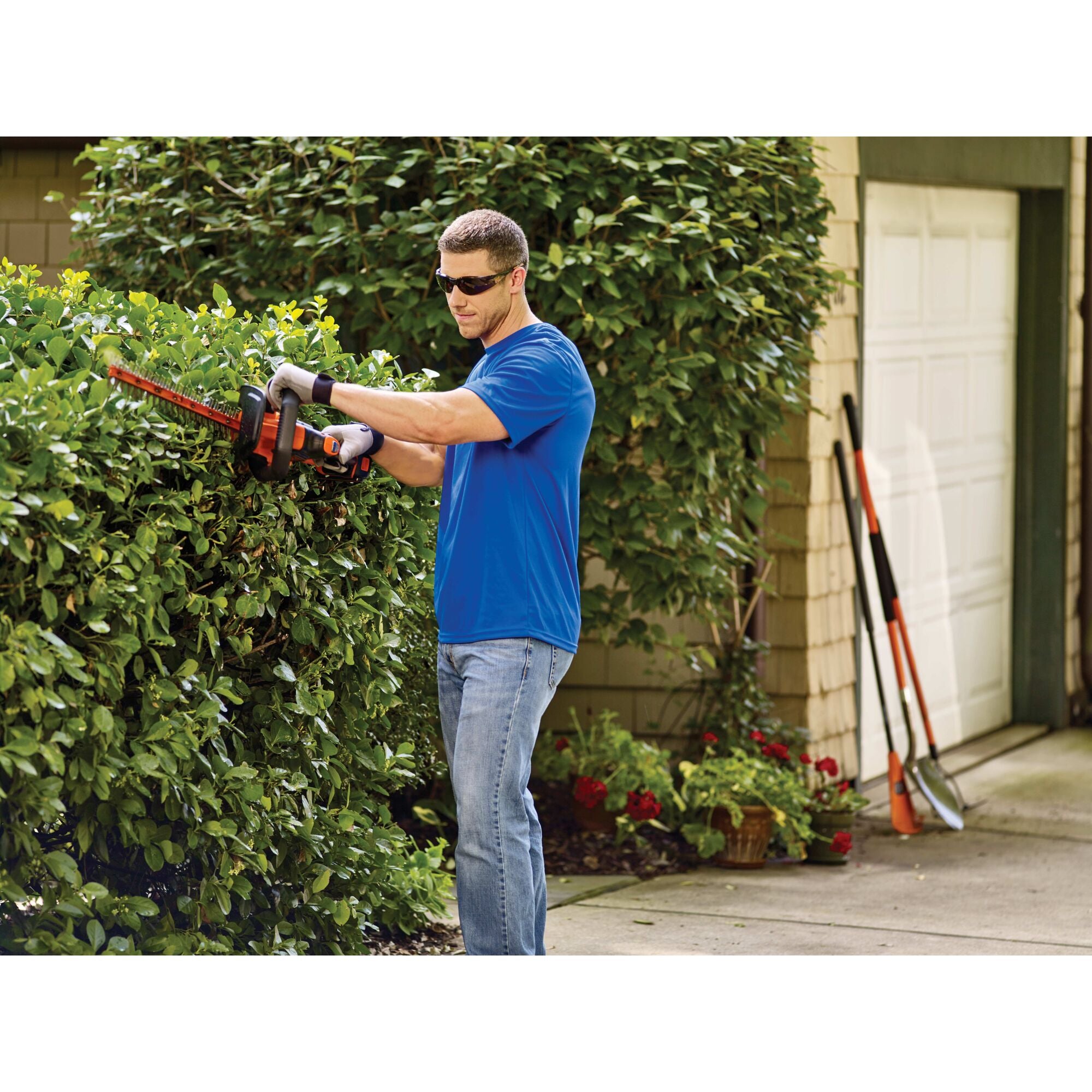 20V MAX Lithium 22-Inch Cordless Hedge Trimmer - Lightweight & Powerful for Garden Landscaping, Shrub Trimming & Yard Maintenance
