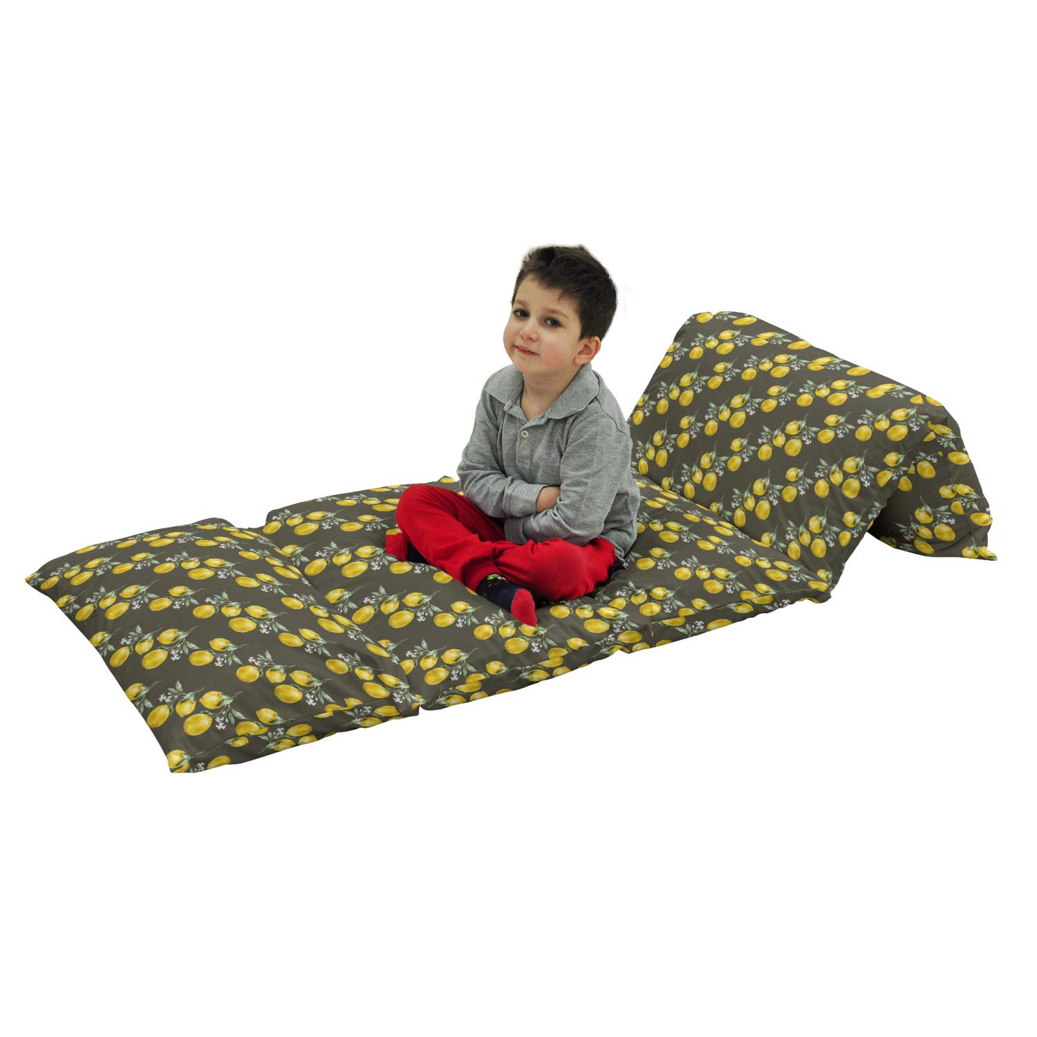 Ambesonne Floral Floor Pillow Lounger Cover - Lemon Branches with Petals Nature Print, Nap Mat Fabric Case for 5 Pillows (88