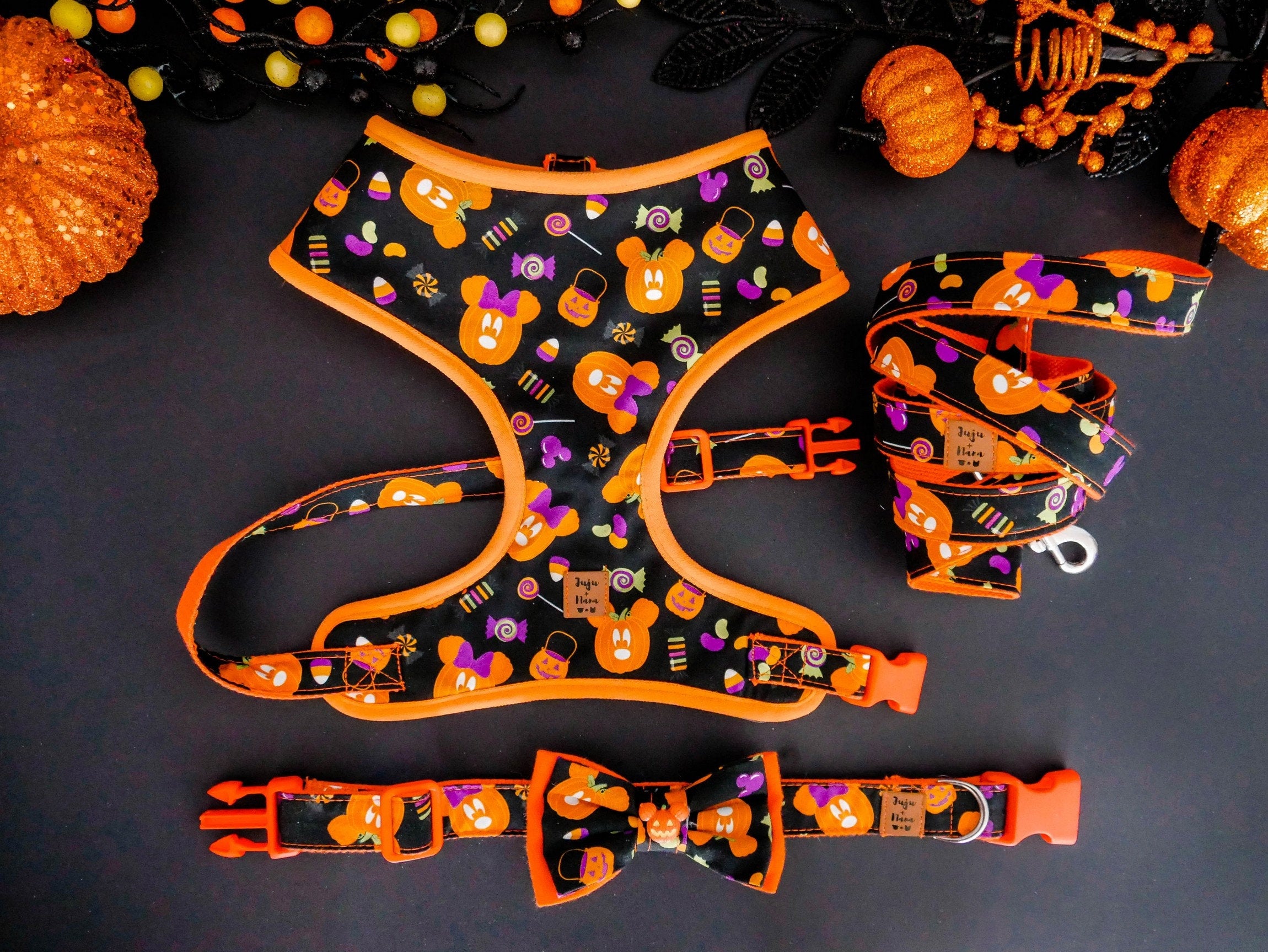 Halloween Dog Harness Set - Cute Pumpkin Design Pet Costume for Small & Medium Dogs | Perfect for Halloween Parties, Trick or Treating & Pet Photo Shoots