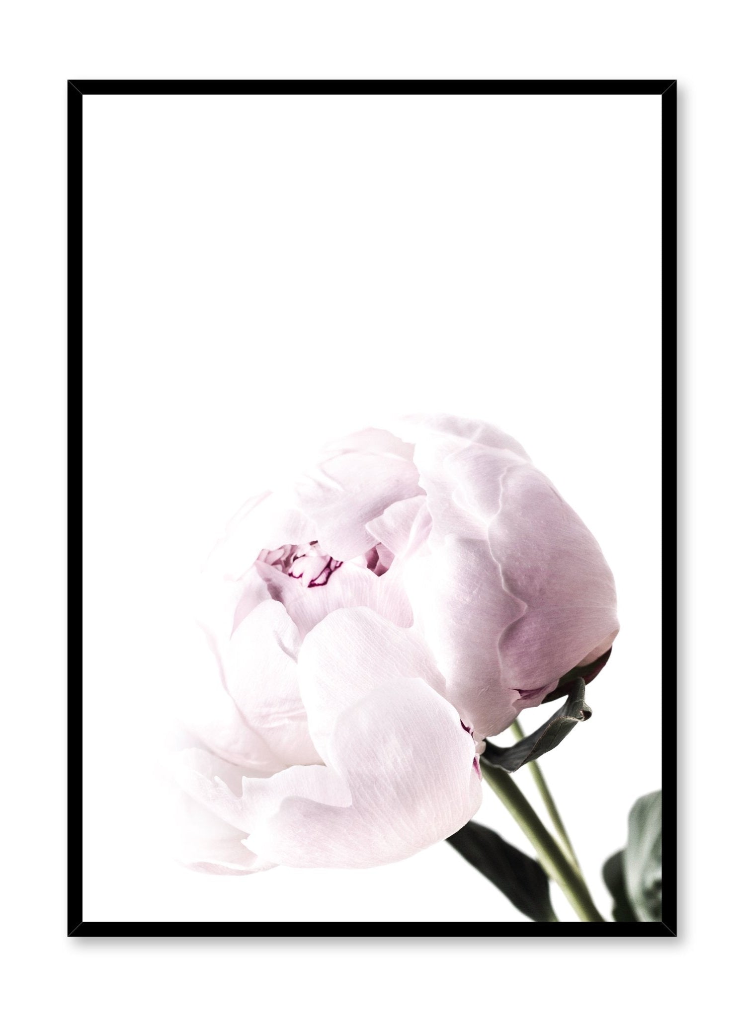 Bloom Poster - Vibrant Floral Wall Art for Home & Office Decor | Perfect for Living Room, Bedroom, or Gift
