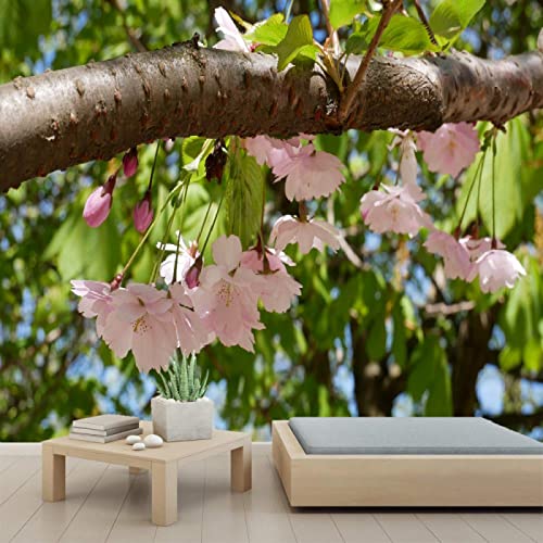 3D Cherry Blossom PVC Wall Murals - Self Adhesive Peel and Stick Wallpaper for Living Room, Dining Room, Home & Office Decor - 98
