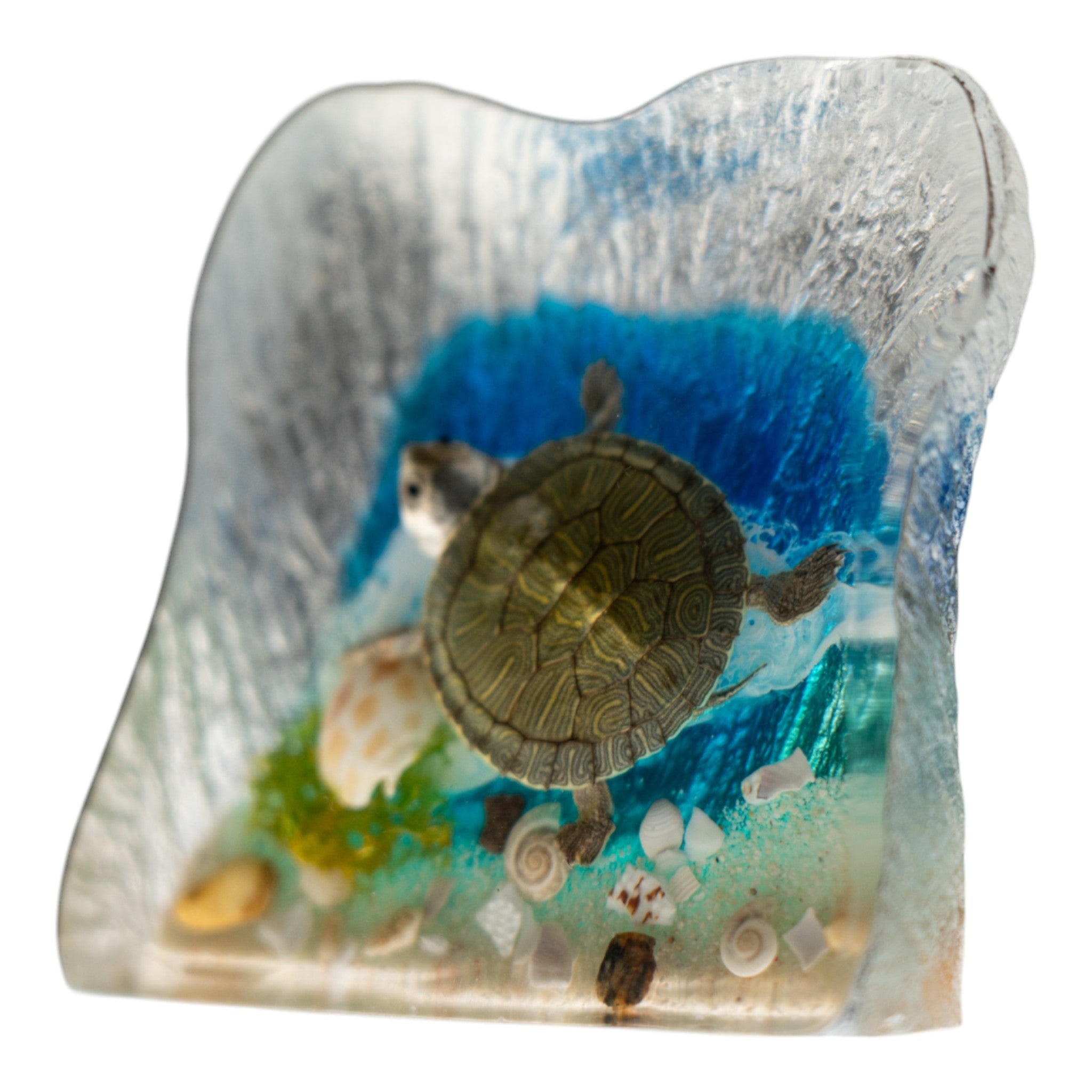 Realistic Turtle Acrylic Paperweight with Ocean Background - Perfect for Office Desk Decor, Gift for Marine Life Lovers