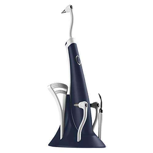 QIYI Electric Dental Scaler - Professional Teeth Cleaning Kit with LED Light, 12000 RPM Vibration, 5 Removable Heads for Stain Removal & Teeth Whitening - Perfect for Home Oral Care & Travel Dental Hygiene