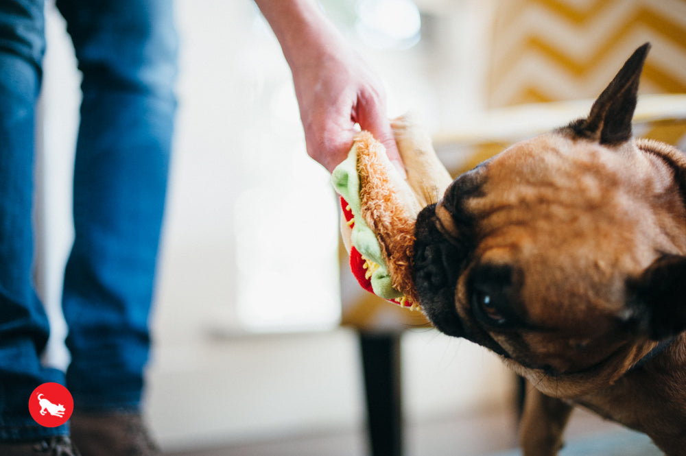 El Taco Dog Plush Toy - International Classic™ Chew-Resistant Squeaky Stuffed Animal for Pets | Perfect for Playtime, Training & Cuddling | Pet P.L.A.Y.