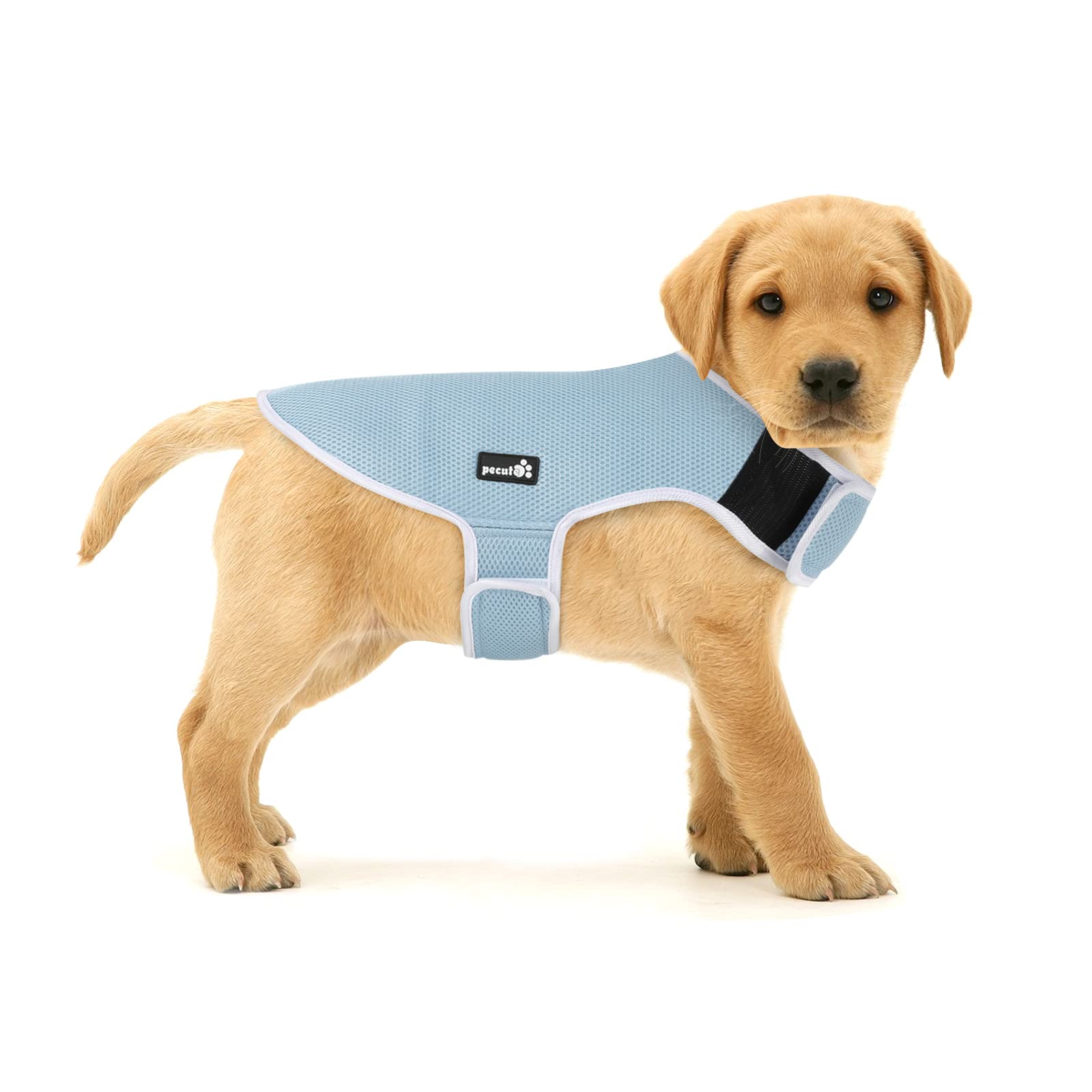 Pecute Dog Cooling Vest - Evaporative Cooling Coat for Dogs with UV Protection, Lightweight Mesh Harness for Outdoor Hiking & Training - Adjustable Velcro Straps (4 Sizes) - Perfect for Summer Walks and Beach Adventures