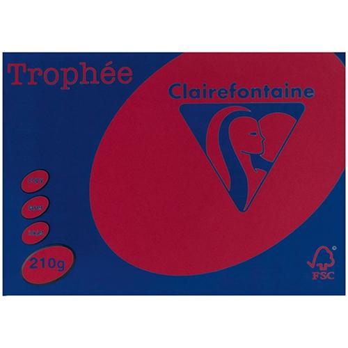Premium A4 210gsm Trophy Cardstock - Bright Red (100 Sheets/Pack) for Awards, Certificates & DIY Craft Projects