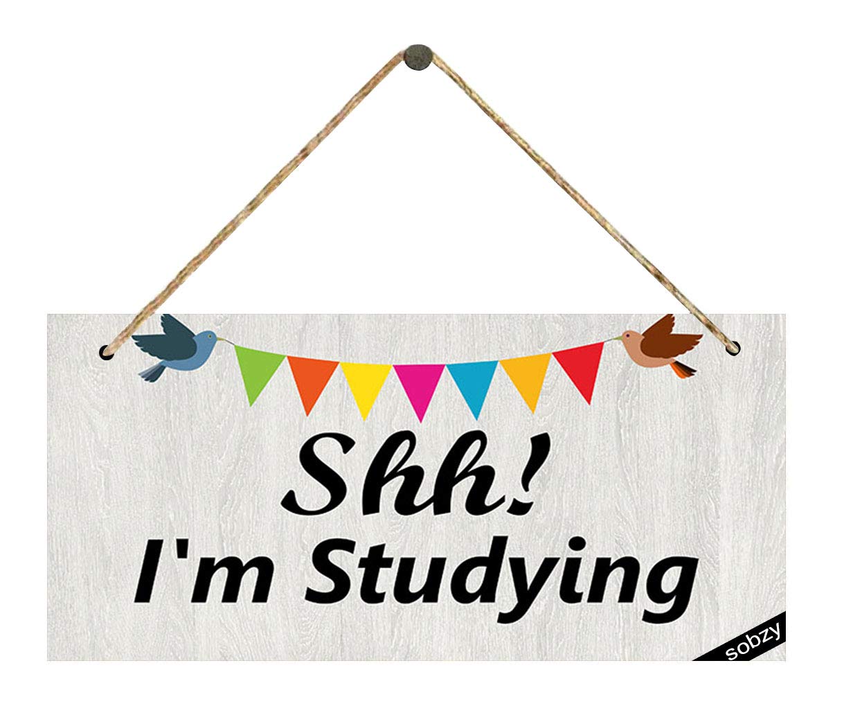 Funny 'Shhh I'm Studying' Wooden Door Sign - Do Not Disturb Home Decor Gift for Students & Remote Workers - Perfect for Dorm Rooms, Home Offices & Study Spaces