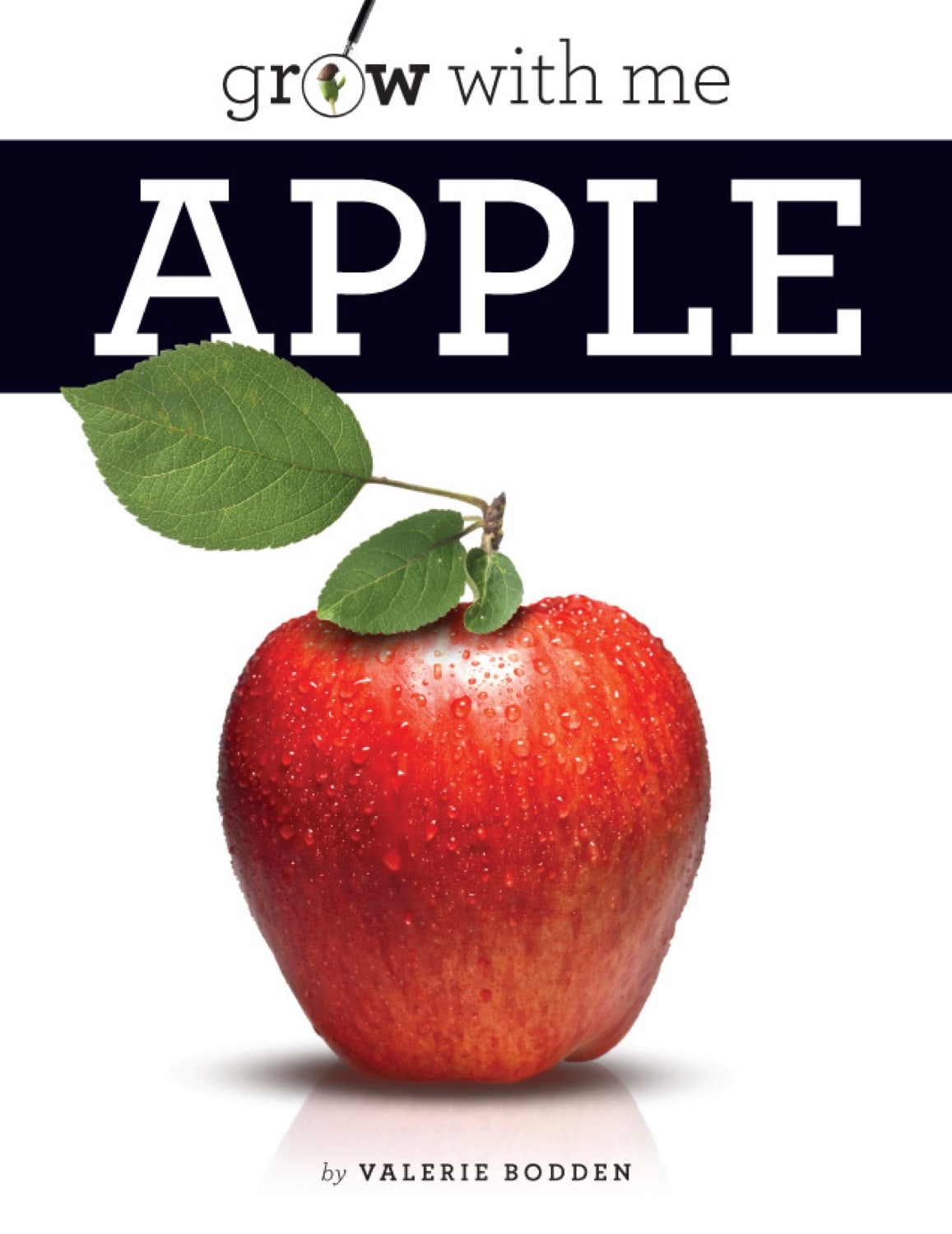 Apple 978-1-60818-404-0 - Perfect for Reading, Studying, and Research