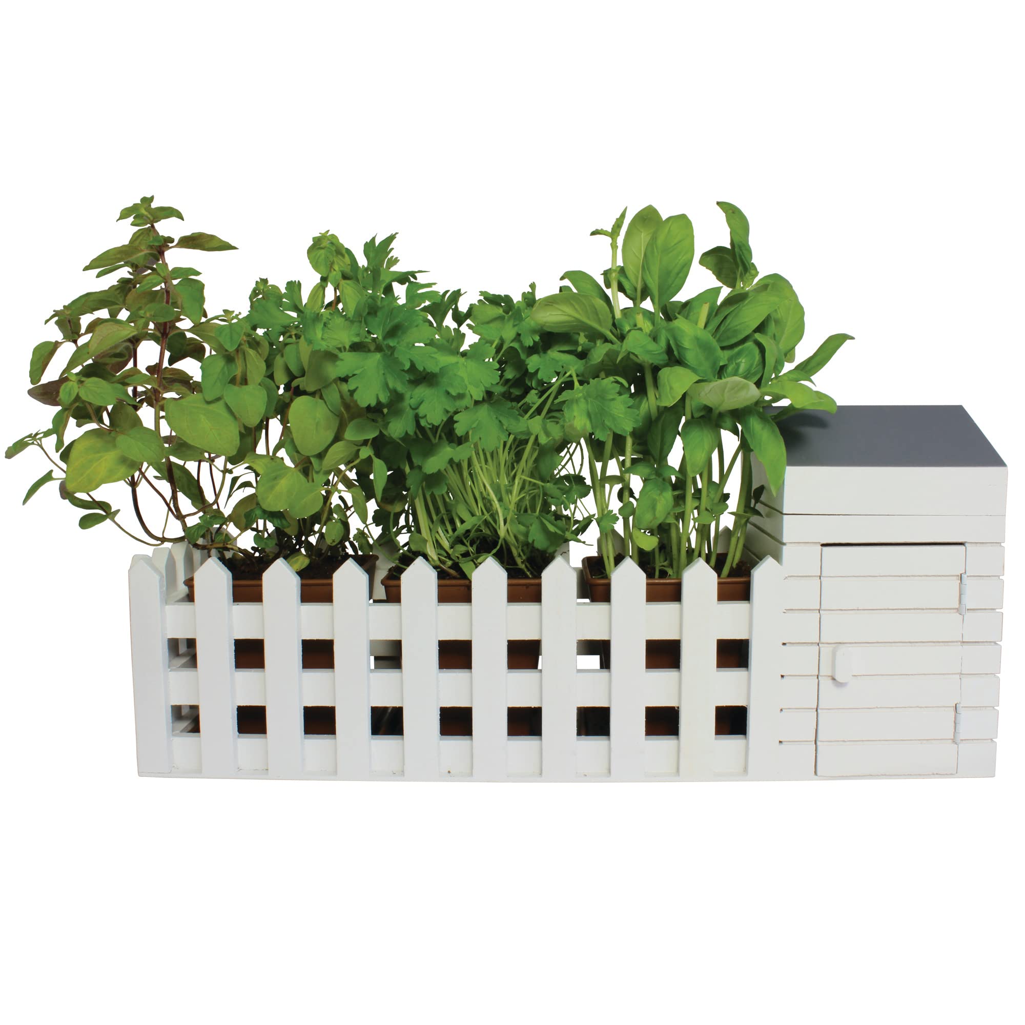 Oliphant Indoor Herb Garden Kit - Complete Allotment Gift Set for Fresh Herbs, Perfect for Home Cooking, Kitchen Decor & Gardening Enthusiasts