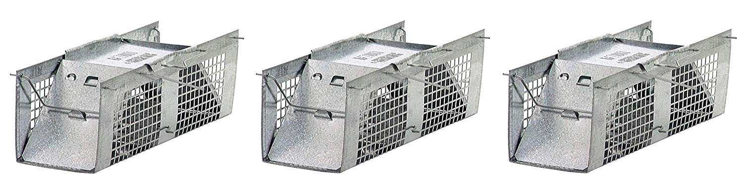 HAVAHART 1020 Humane Live Animal Two-Door Mouse Cage Trap - Safe & Effective Rodent Control (Pack of 3) - Ideal for Homes, Garages & Outdoor Use