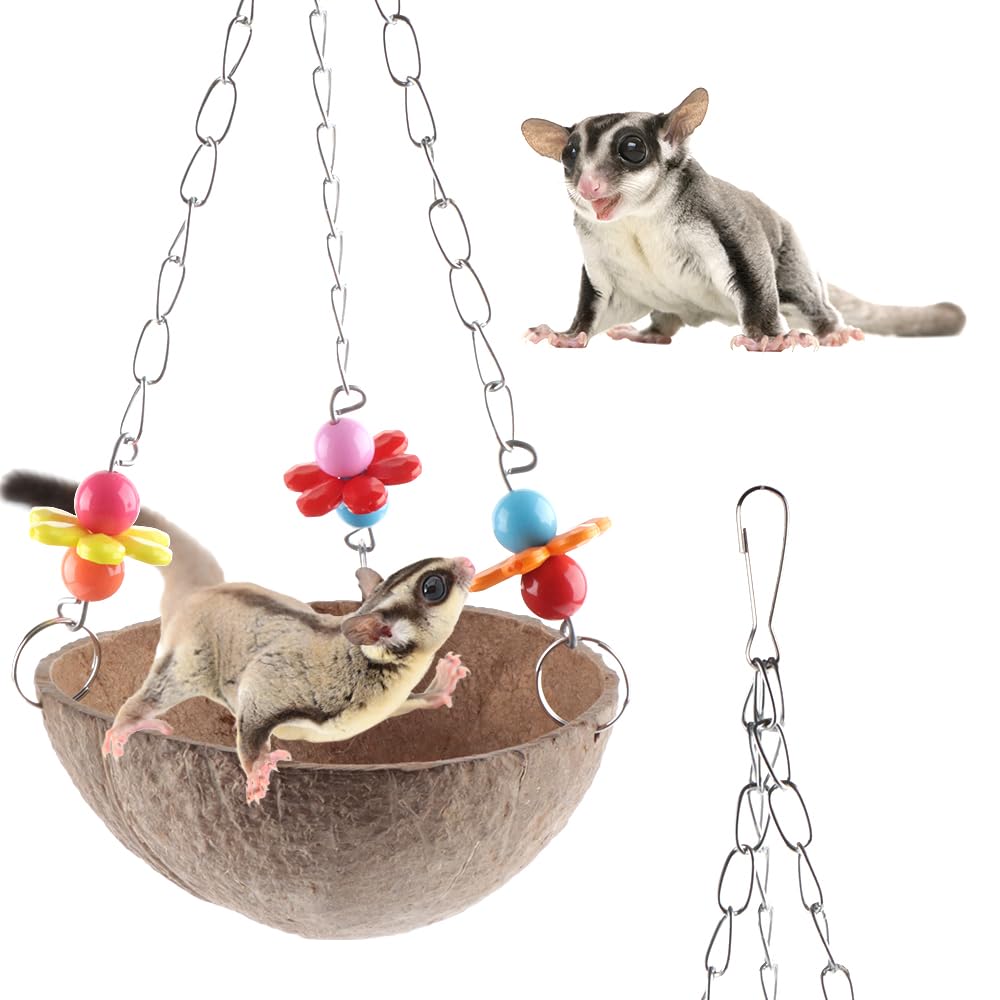 Natural Coconut Shell Swing Toy for Sugar Gliders & Parrots - Hanging Bird Cage Accessories - Perfect for Small Pet Playtime & Cage Enrichment