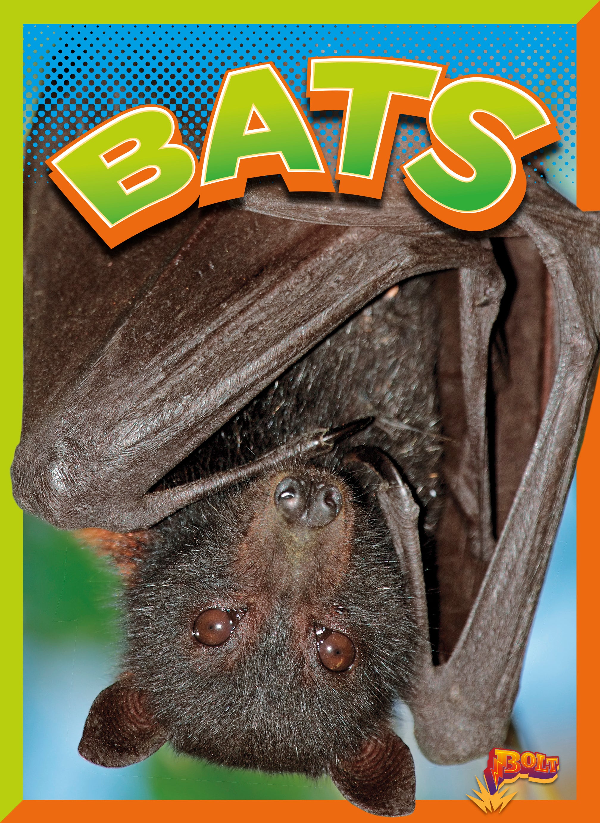 Wild Animal Kingdom Bats - Realistic Bat Figurines for Halloween Decor, Nature Education & Wildlife Collectors