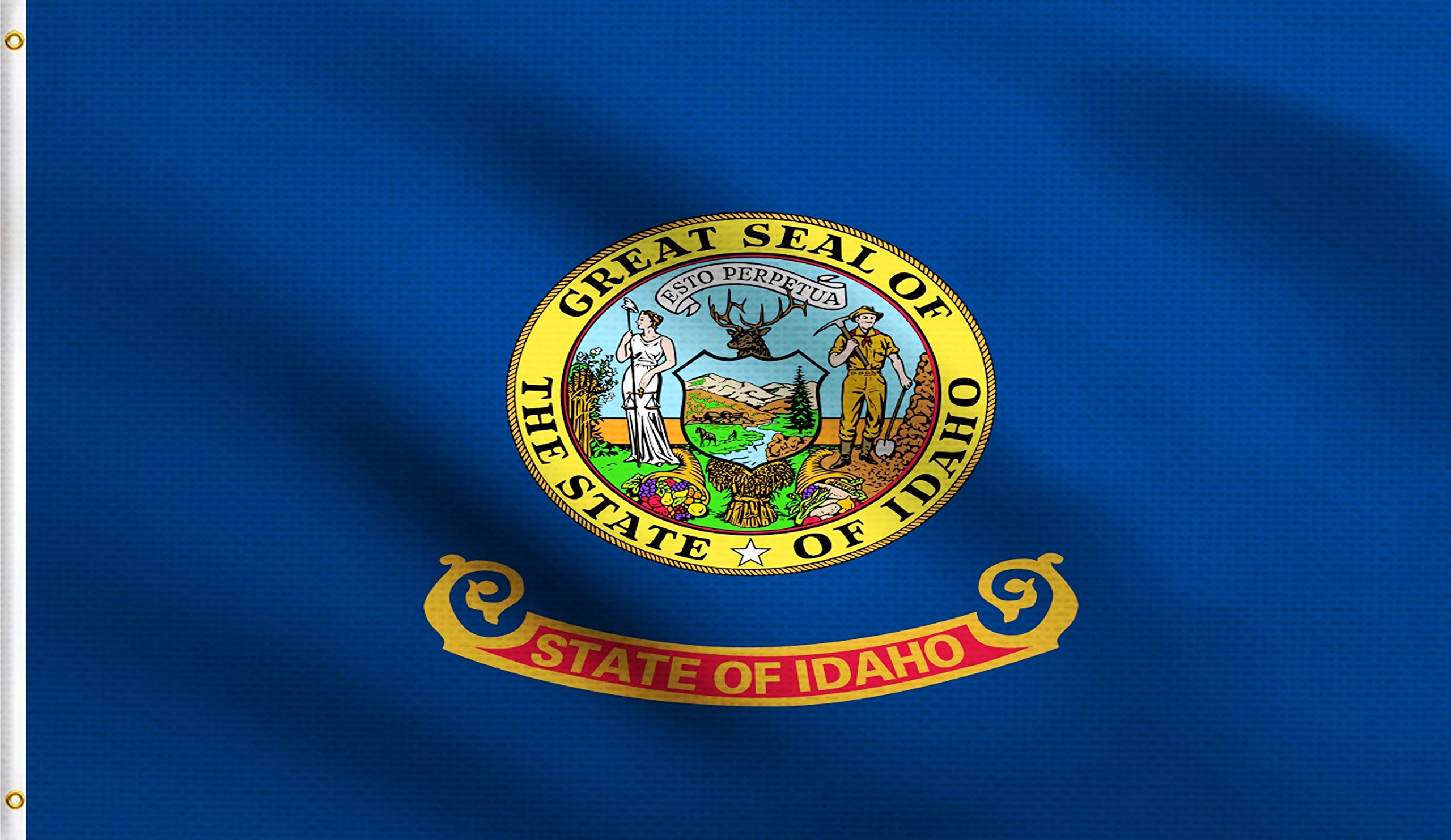Idaho State Flag 3x5 Feet - DMSE Official Seal & Flag, 100% Polyester 100D, UV Resistant, Durable Outdoor/Indoor Use - Perfect for Government Buildings, Schools & Patriotic Events