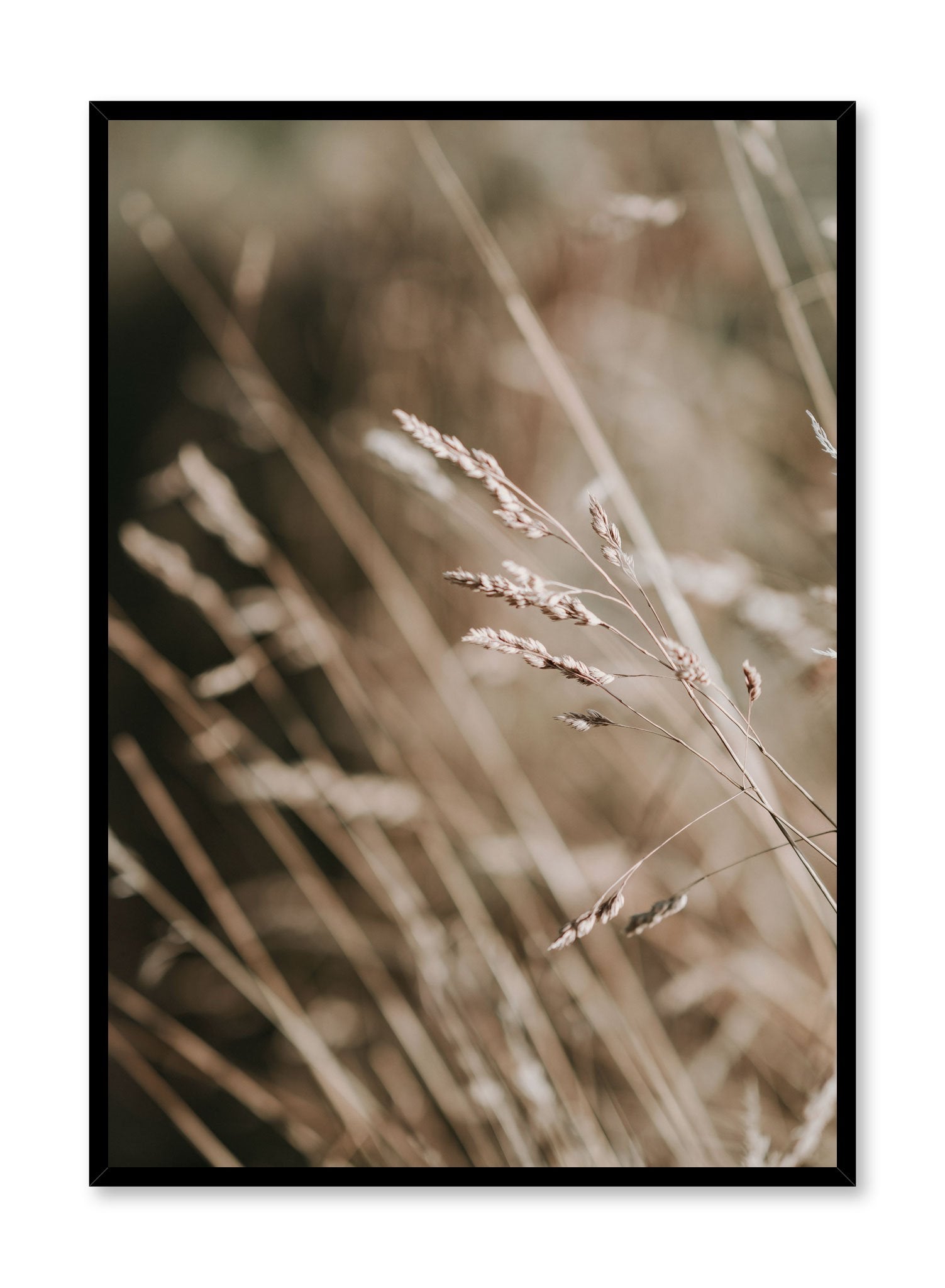 Golden Grasses Wall Art Poster - Nature Inspired Botanical Prints for Home & Office Decor - Perfect for Living Room, Bedroom, or Office Space