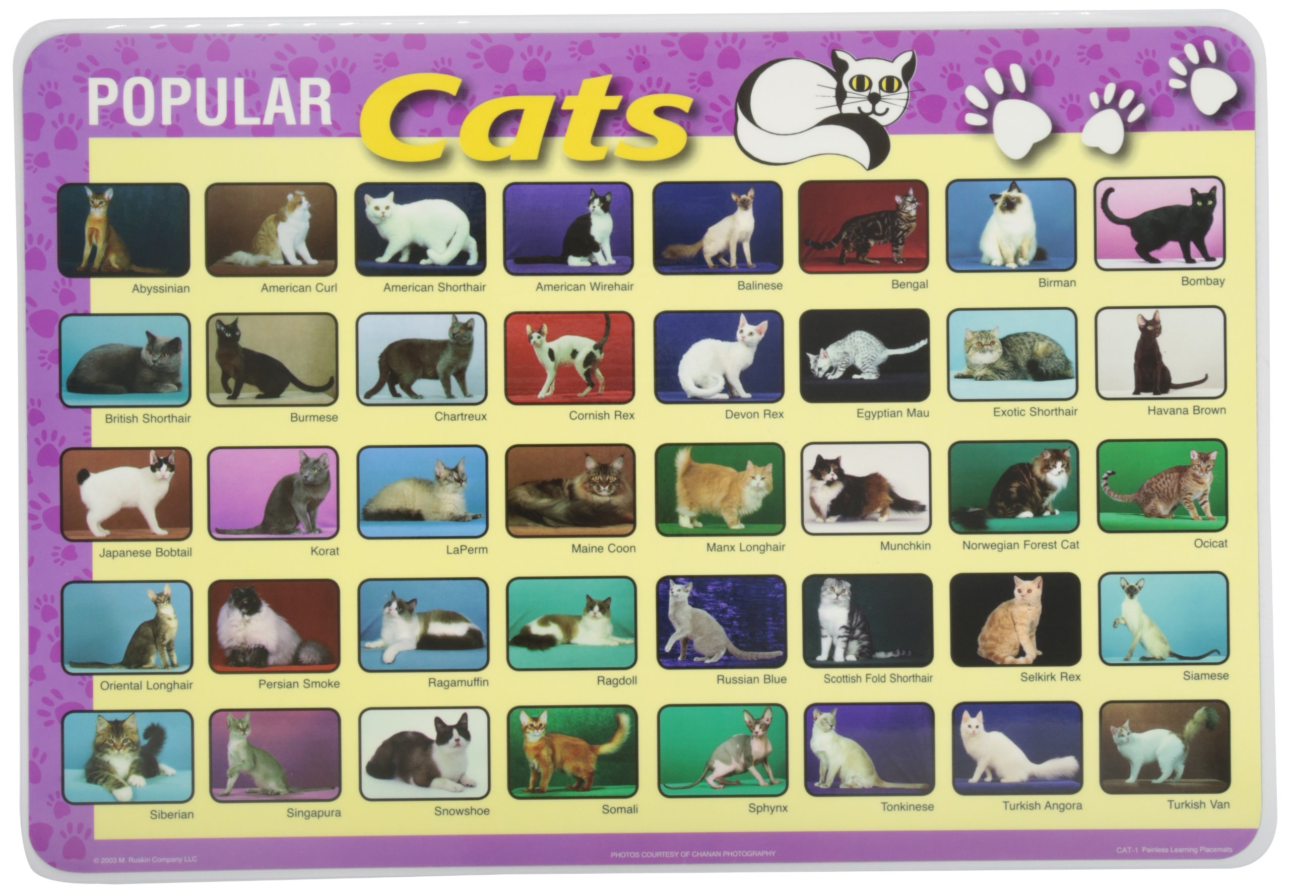 Painless Learning Popular Cats Placemats - Large Non-Slip Placemat Set for Dining Table, Kitchen, Office Desk | Cute Cat-Themed Home Decor for Cat Lovers