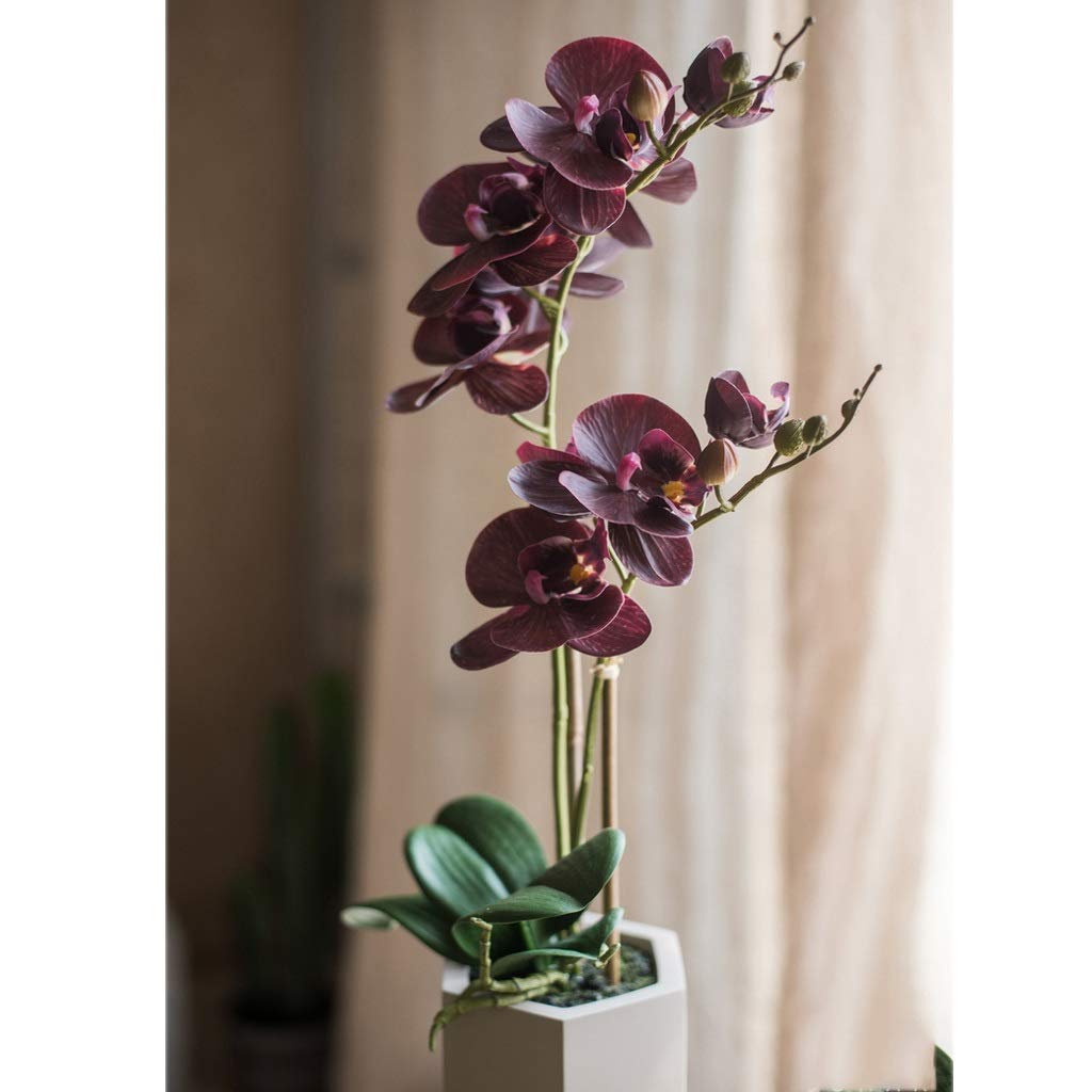 NNR Artificial Phalaenopsis Orchid Arrangement with Irregular Plastic Vase - Realistic White & Purple Decorative Flower Bonsai for Home, Office, Wedding, and Party Decor