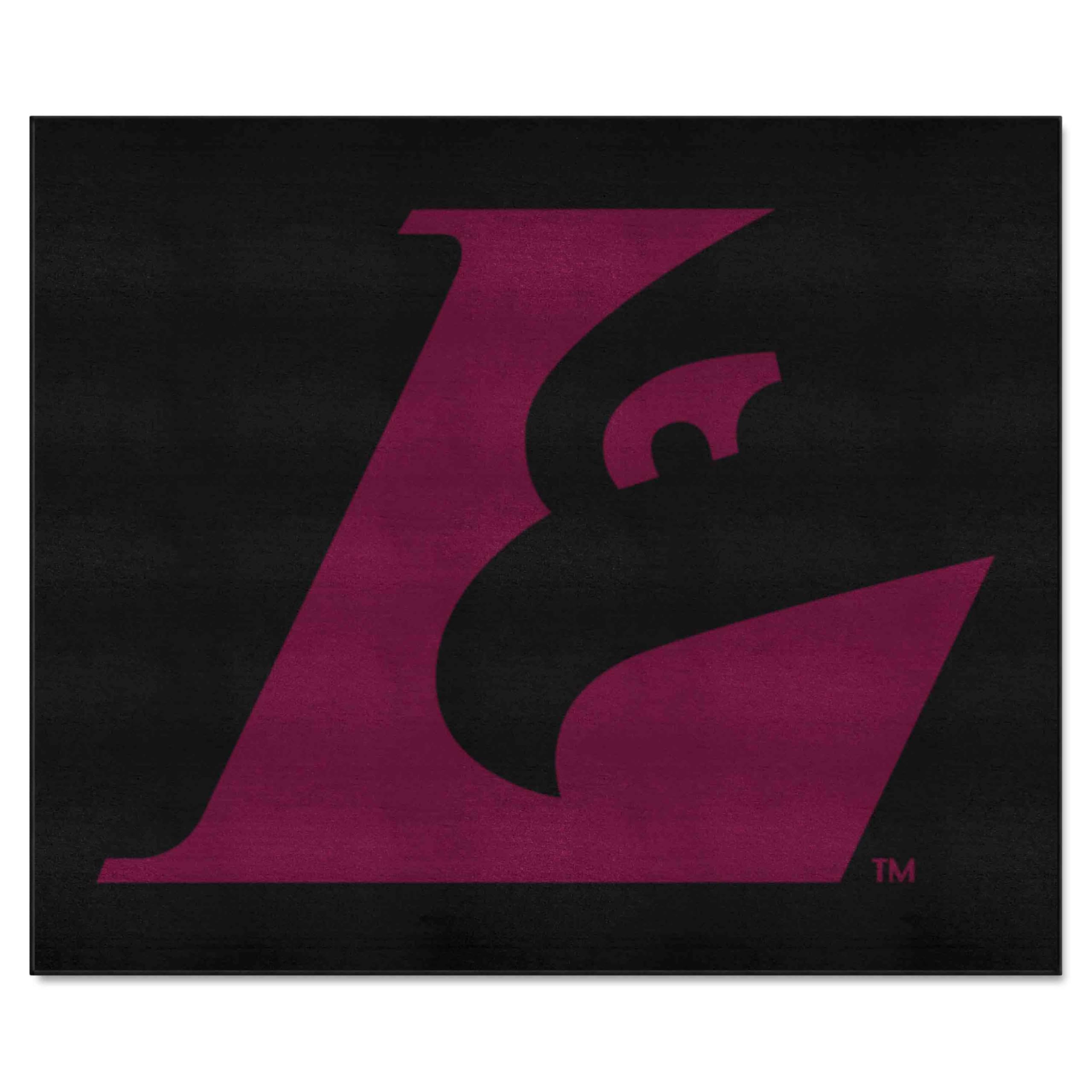 FANMATS 551 Wisconsin-La Crosse Eagles Tailgater Rug - 5ft x 6ft College Sports Fan Area Rug, Durable Outdoor Tailgating Mat & Home Decor for Game Day, Man Cave, Dorm Room