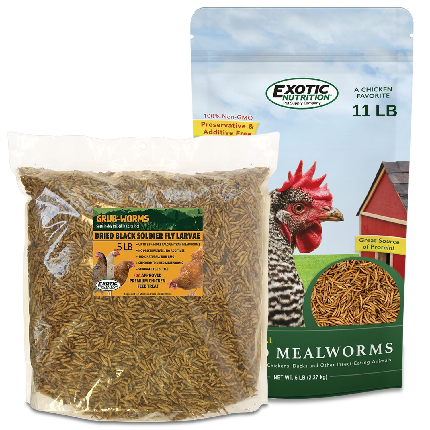 Premium Live Mealworms & Grub Worms Combo - 11 lb Mealworms + 5 lb Grub Worms for Reptiles, Birds, Chickens - High Protein Pet Food & Wild Bird Feed - Perfect for Feeding Bearded Dragons, Hedgehogs, Bluebirds