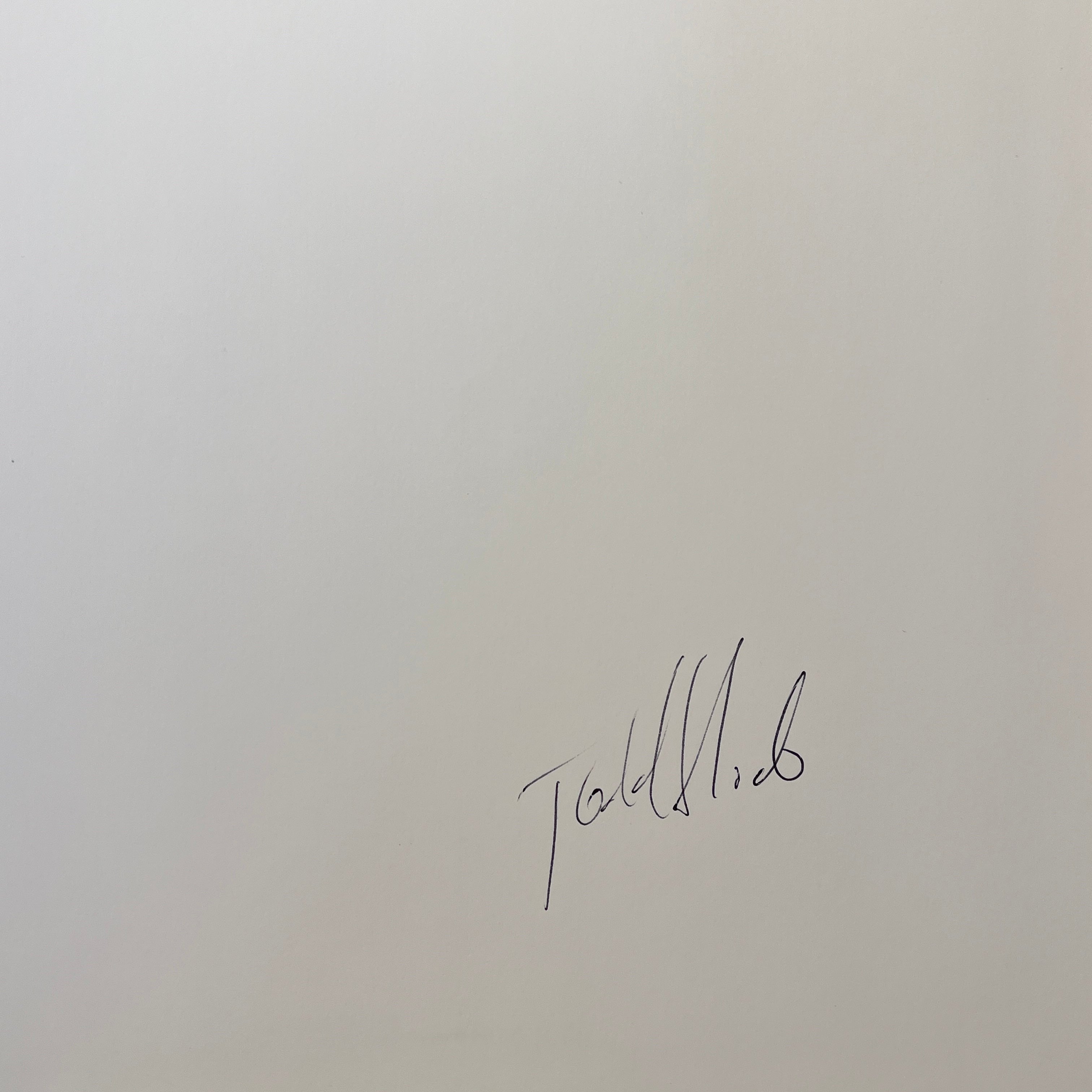 Todd Hido: A Road Divided - Limited Edition Signed Photography Book by Nazraeli Press (2010) | Perfect for Art Collectors & Photography Enthusiasts