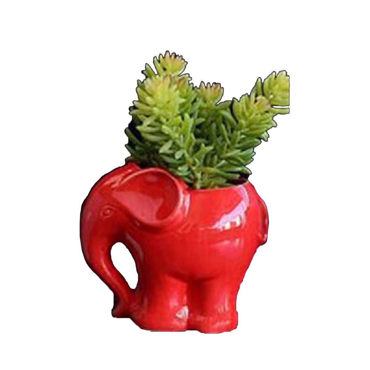 Elephant Shaped Ceramic Flower Pot for Succulents - Indoor Outdoor Home & Office Decor - Red - Perfect for Living Room, Patio, and Desk Decorations