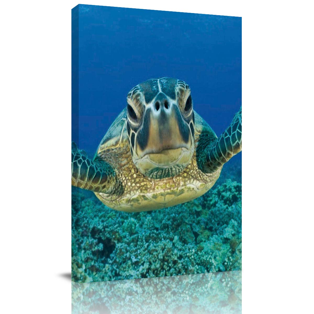 Ocean Animals Canvas Wall Art - Sea Turtle Swimming Framed Print Underwater Diving Decor (36