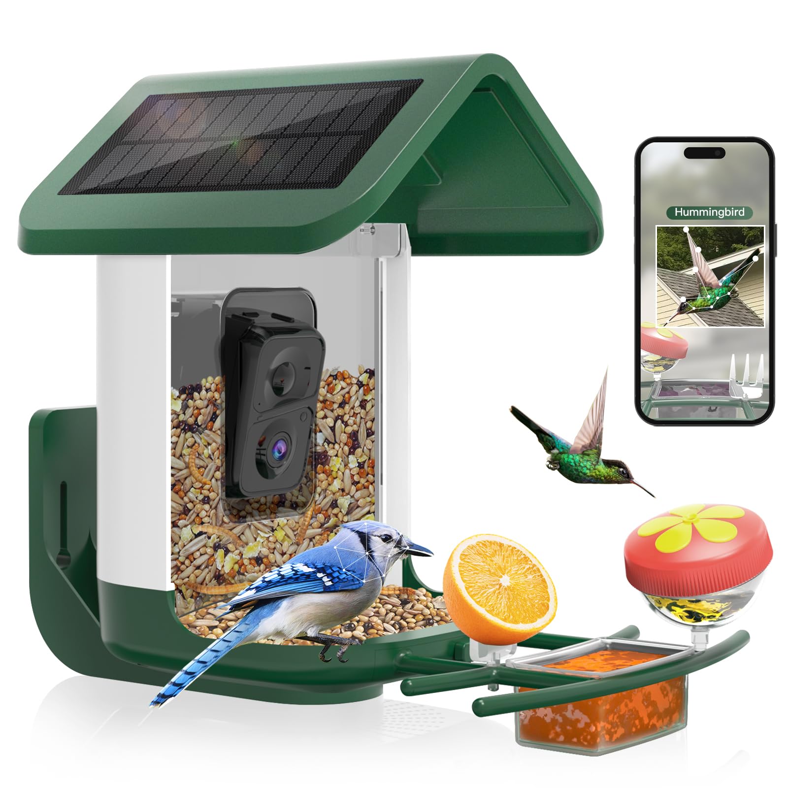 Solar Powered Smart Bird Feeder with 2K HD Camera - AI Bird Identification, Auto Capture Videos & Photos, 2.4GHz WiFi for Outdoor Backyard - Perfect Gift for Bird Lovers, Parents & Nature Enthusiasts | Enjoy Birdwatching from Home or Office